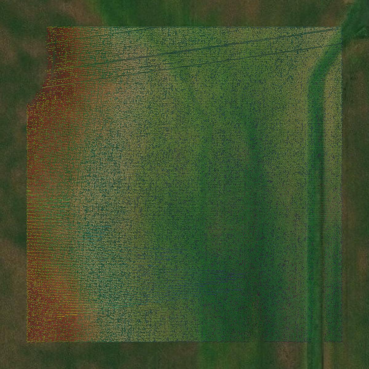 This image shows a LiDAR point cloud in Butler County created using GIS data in Equator.