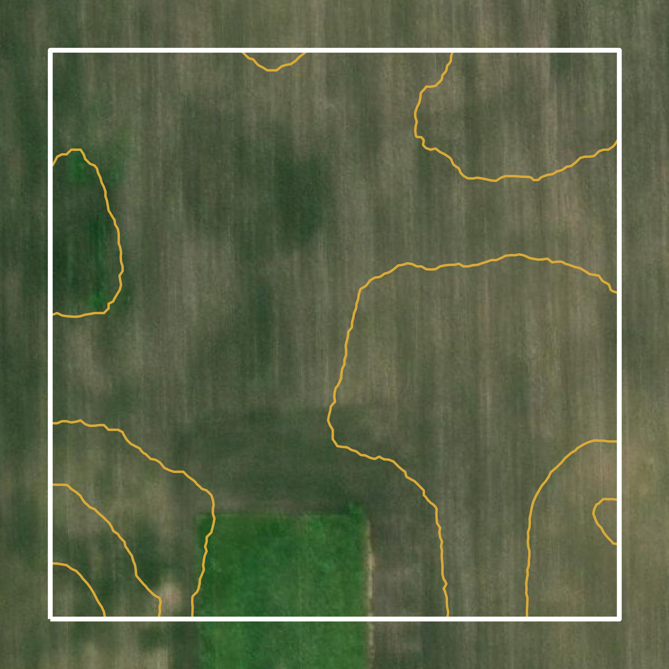 This image shows a contour map in Calhoun County created using GIS data in Equator.