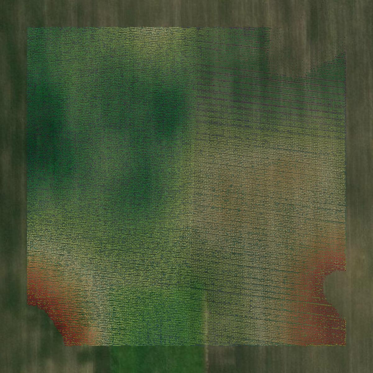 This image shows a LiDAR point cloud in Calhoun County created using GIS data in Equator.