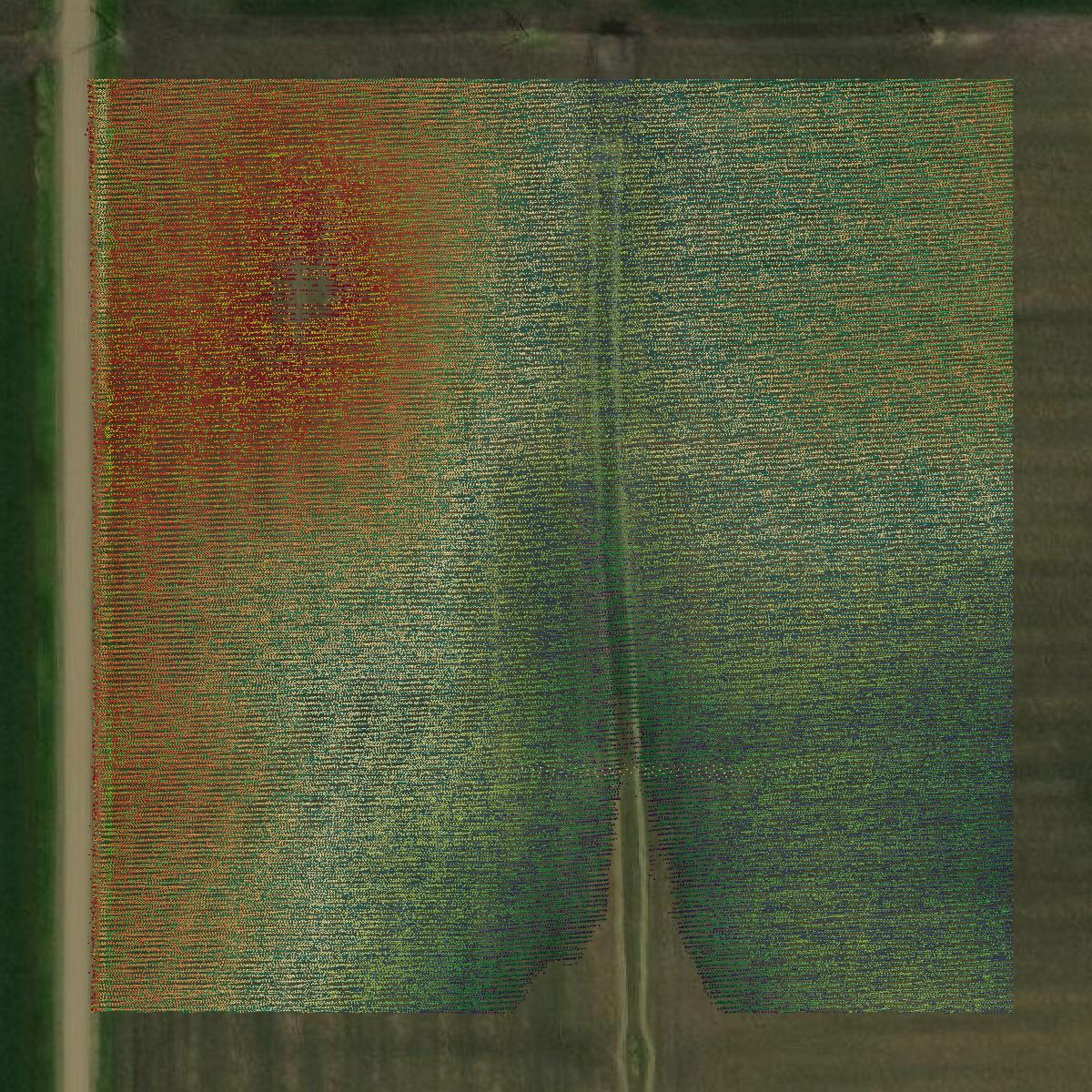 This image shows a LiDAR point cloud in Calhoun County created using GIS data in Equator.
