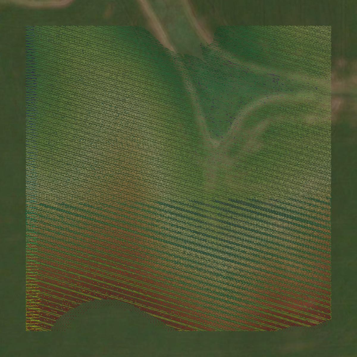 This image shows a LiDAR point cloud in Carroll County created using GIS data in Equator.