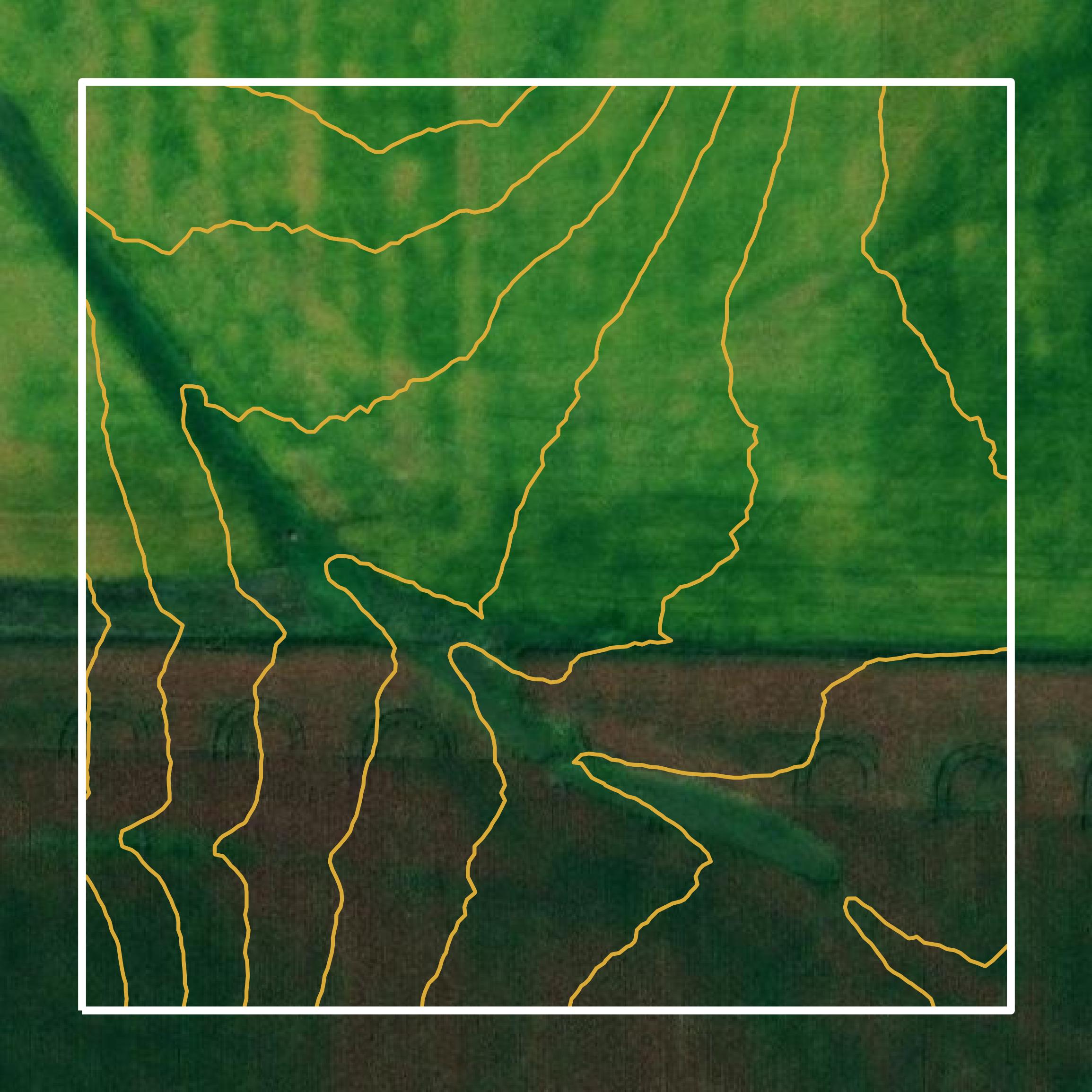 This image shows a contour map in Cedar County created using GIS data in Equator.