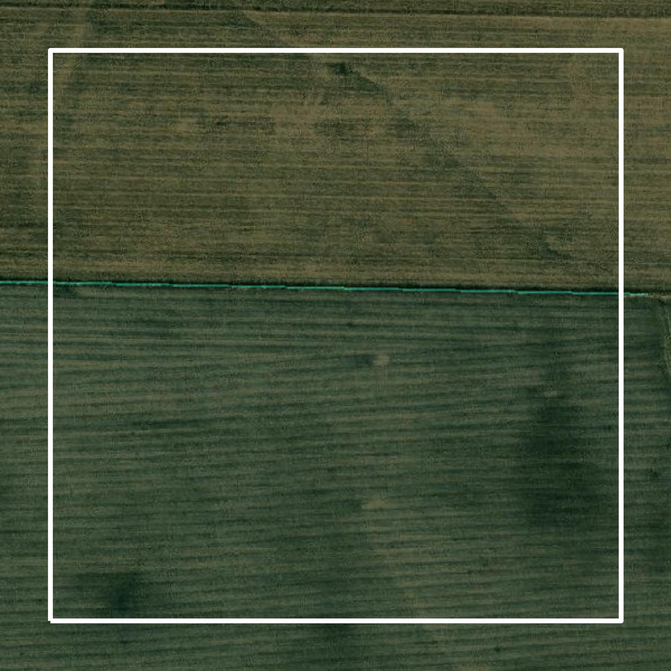 This image shows parcel and building data in Cedar County created using GIS data in Equator.