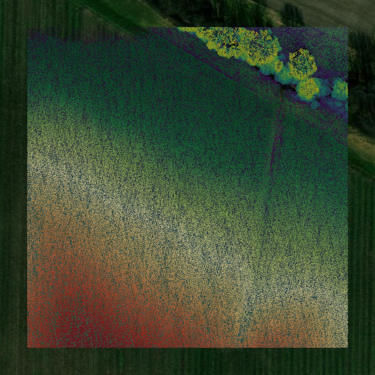 This image shows a LiDAR point cloud in Cedar County created using GIS data in Equator.