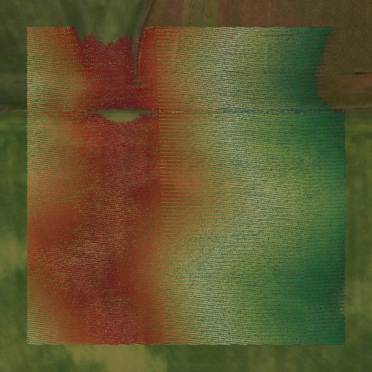This image shows a LiDAR point cloud in Cherokee County created using GIS data in Equator.