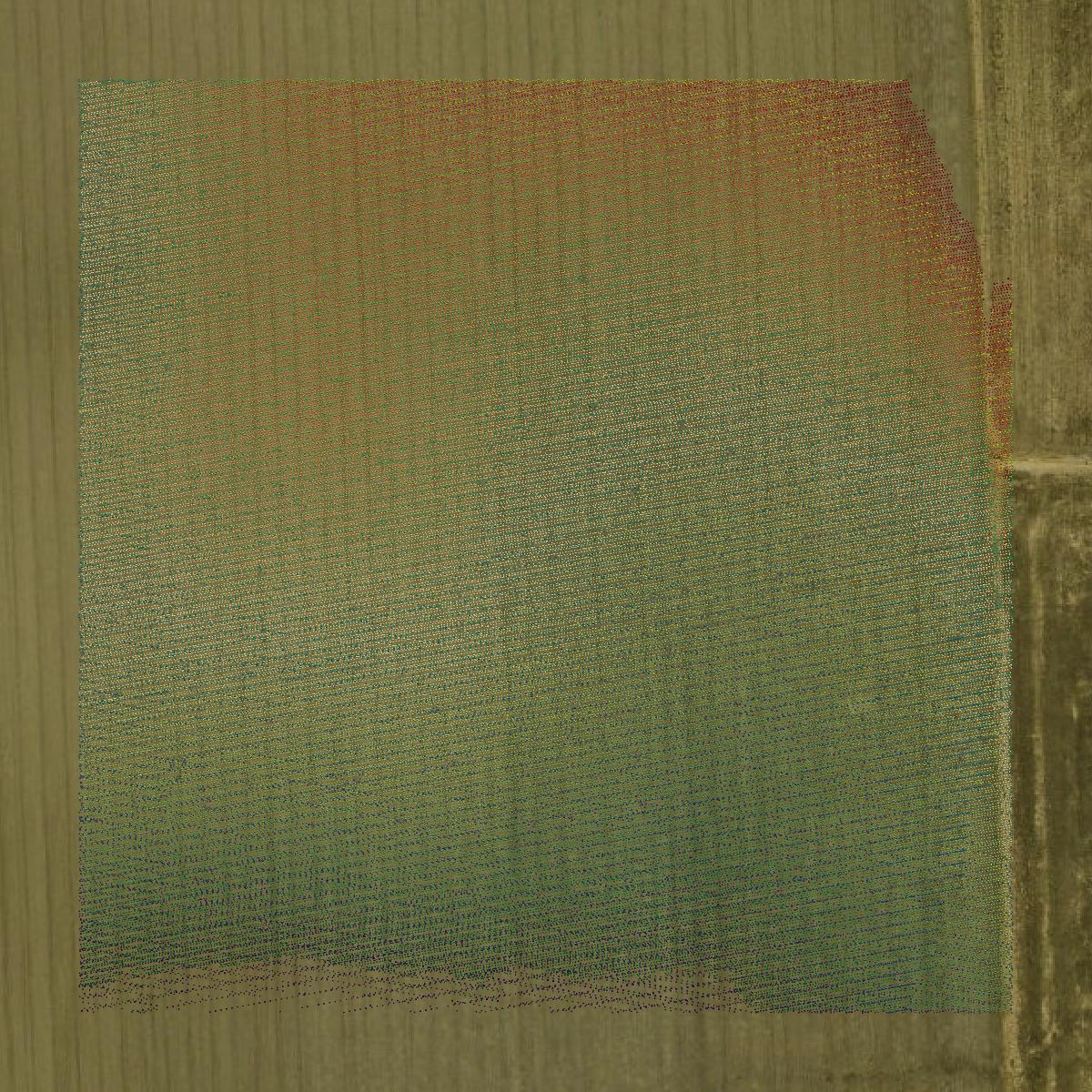 This image shows a LiDAR point cloud in Clay County created using GIS data in Equator.
