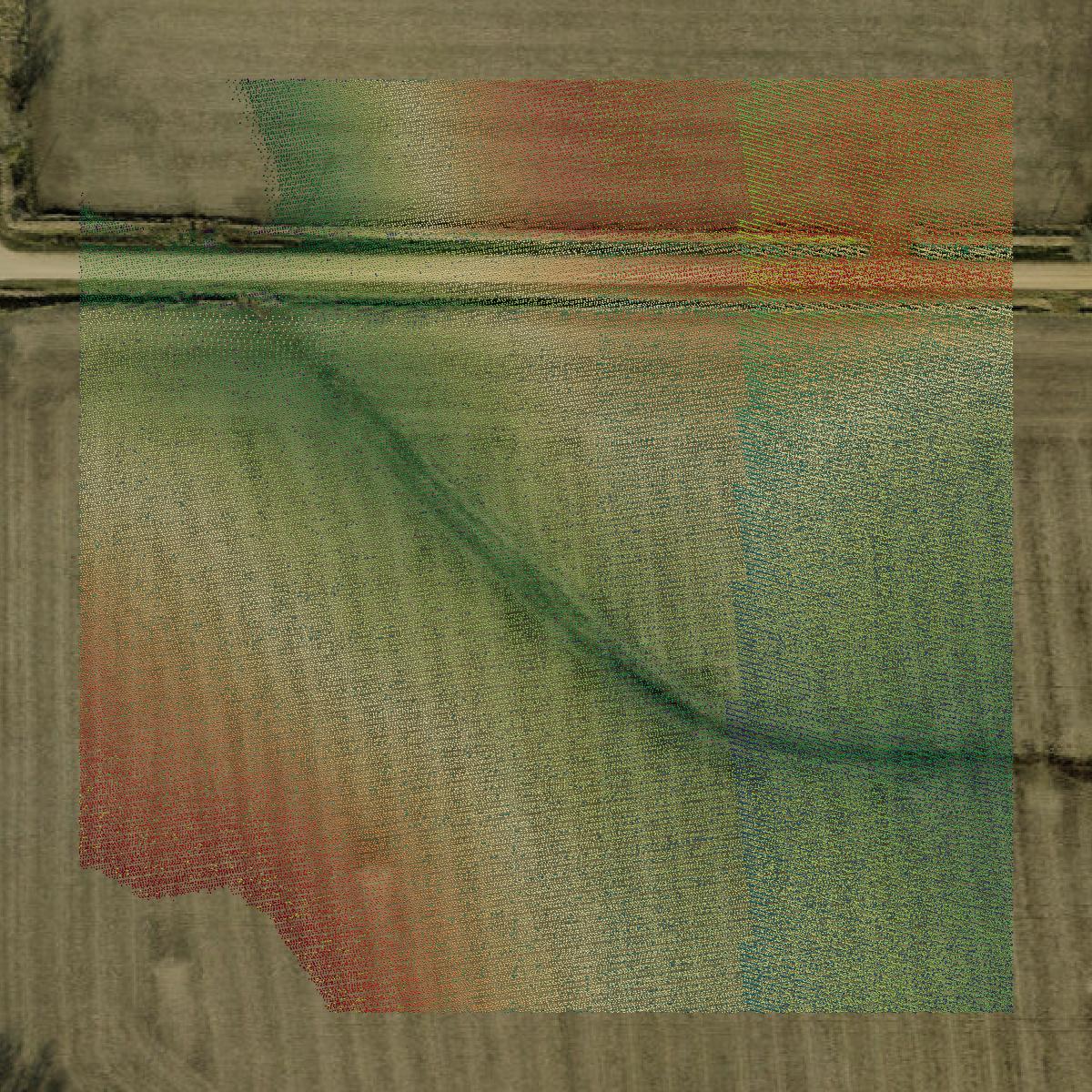 This image shows a LiDAR point cloud in Dallas County created using GIS data in Equator.