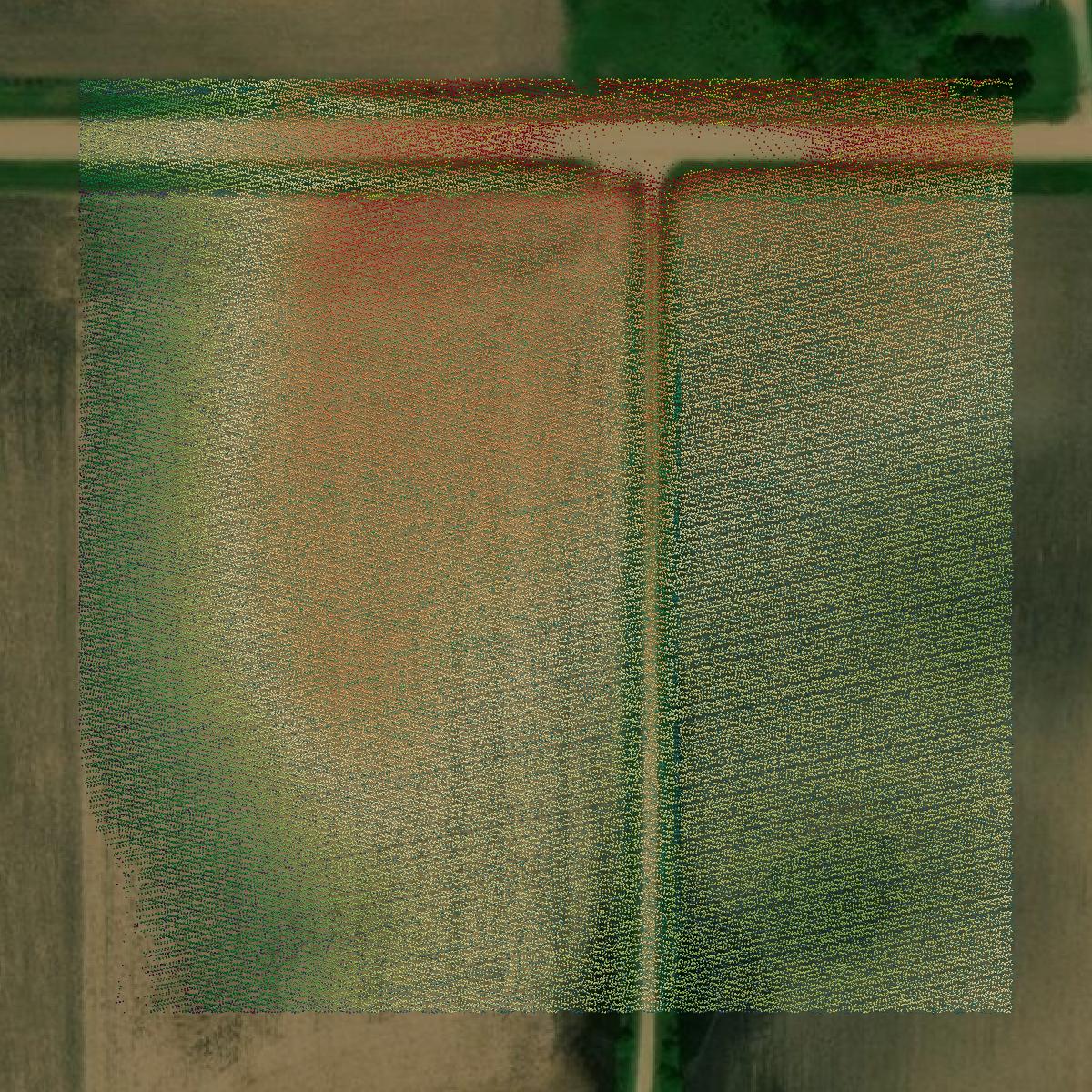 This image shows a LiDAR point cloud in Dickinson County created using GIS data in Equator.