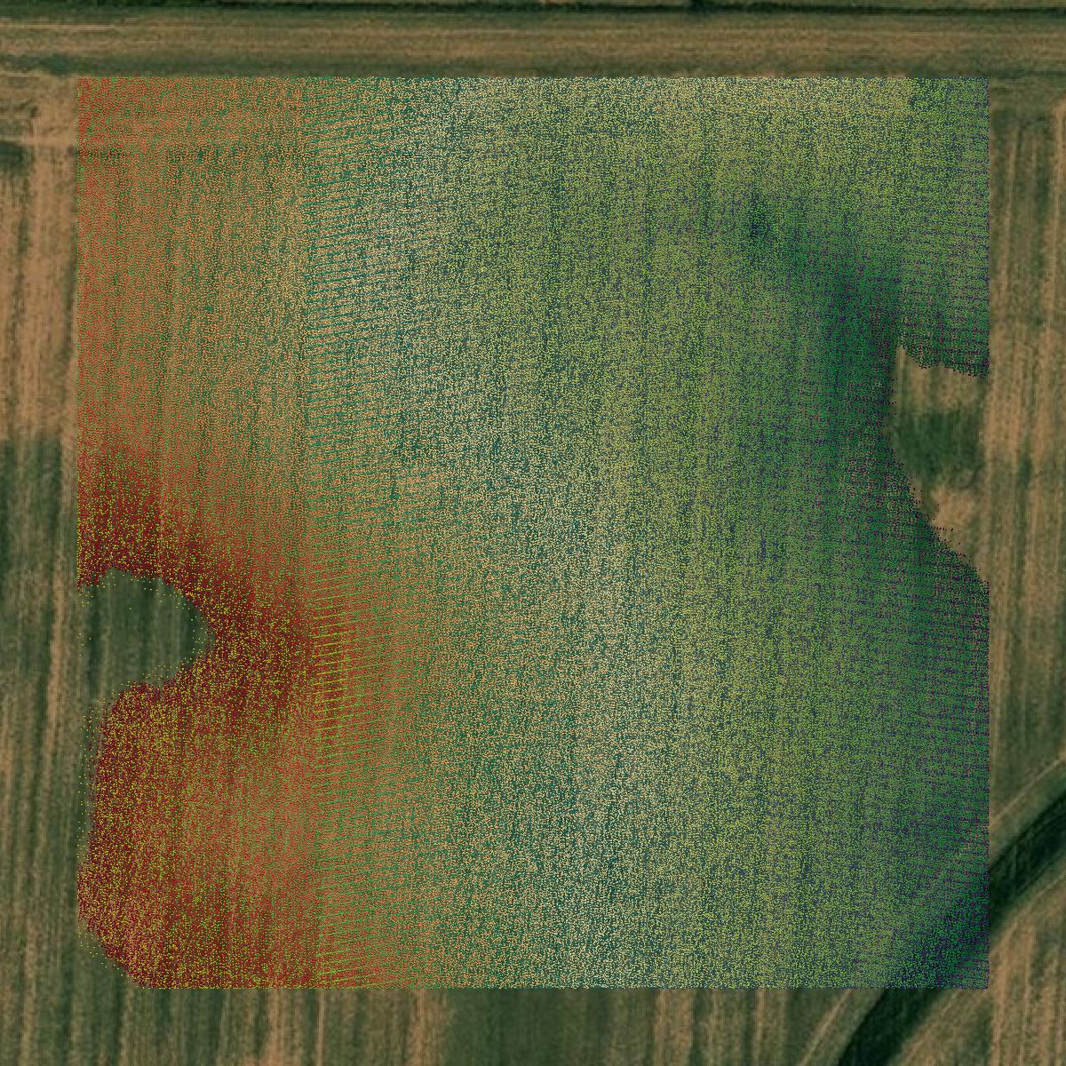 This image shows a LiDAR point cloud in Fayette County created using GIS data in Equator.