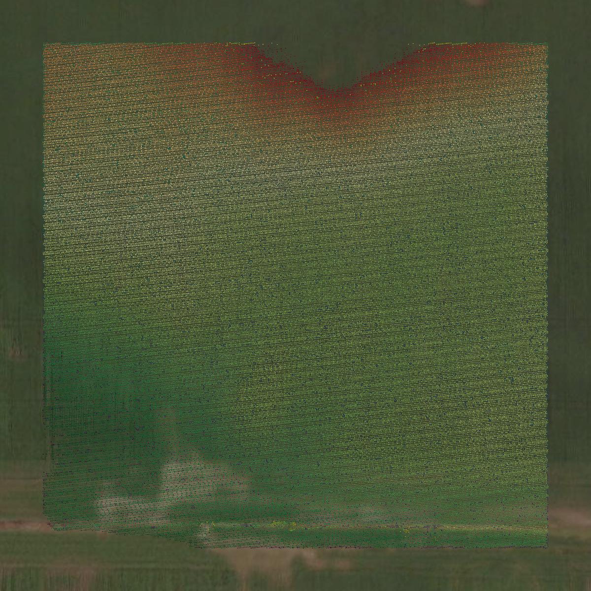 This image shows a LiDAR point cloud in Greene County created using GIS data in Equator.