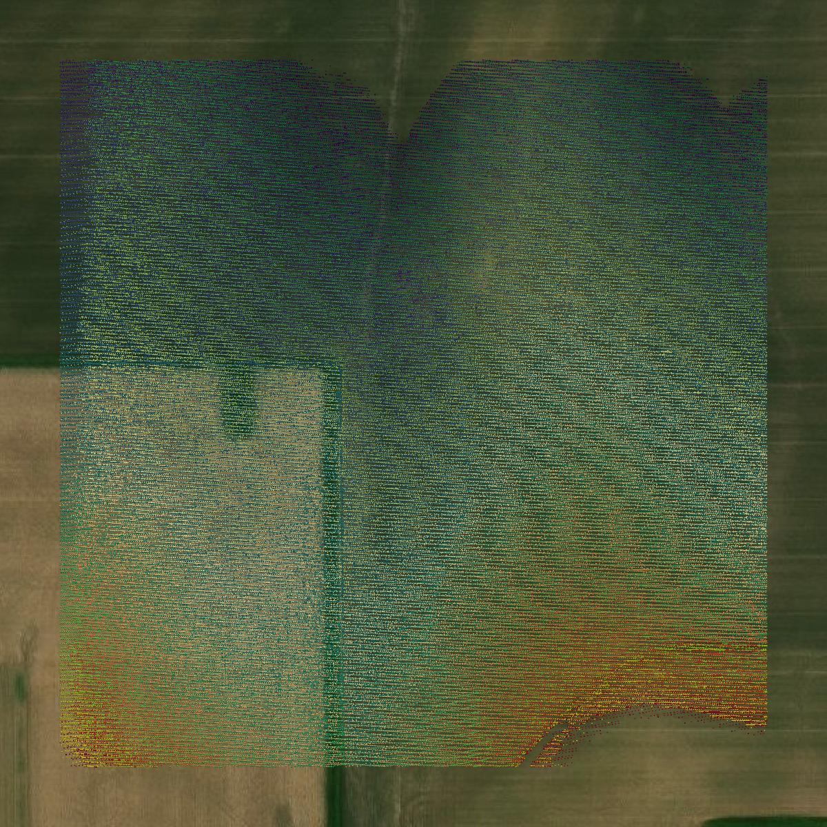 This image shows a LiDAR point cloud in Grundy County created using GIS data in Equator.