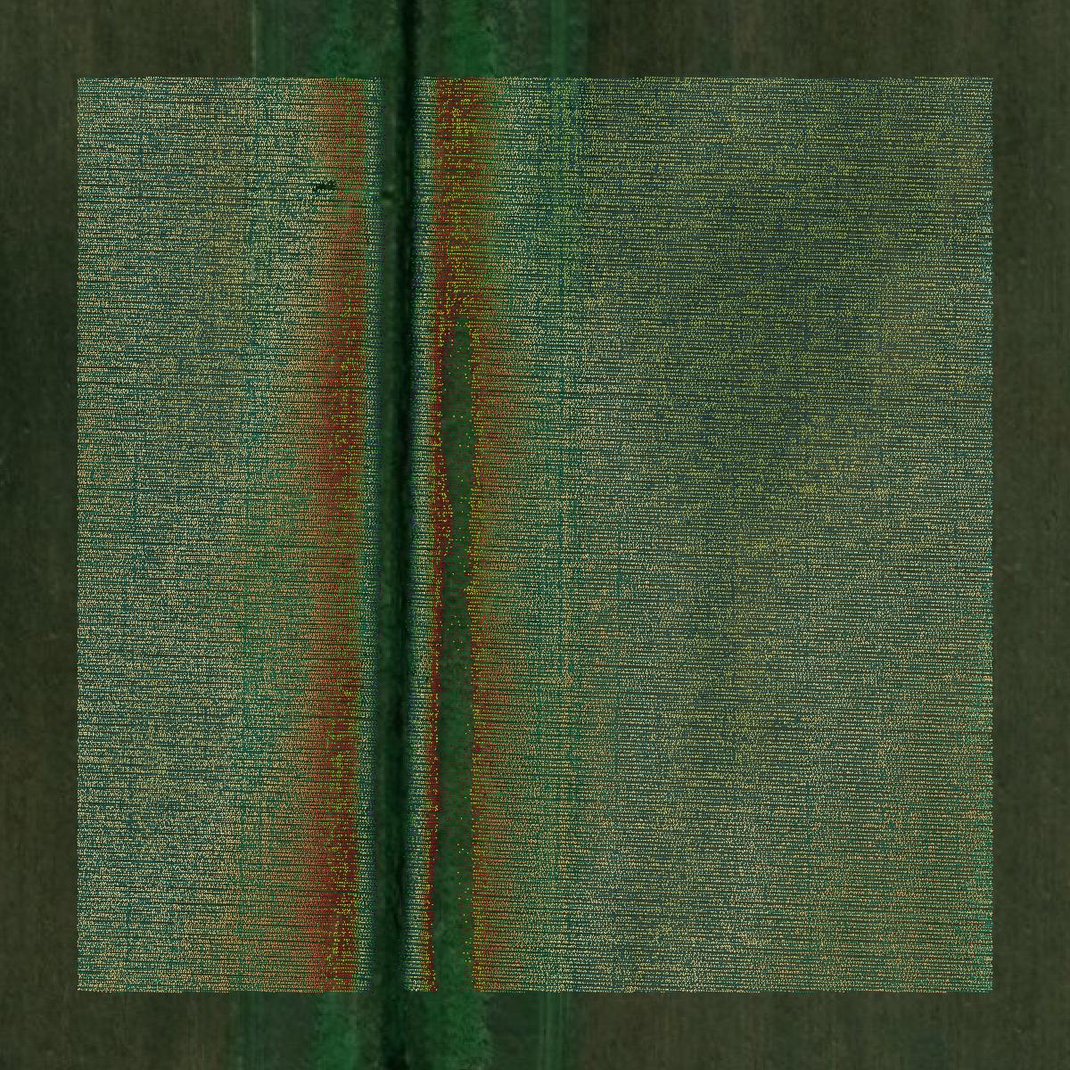 This image shows a LiDAR point cloud in Hamilton County created using GIS data in Equator.