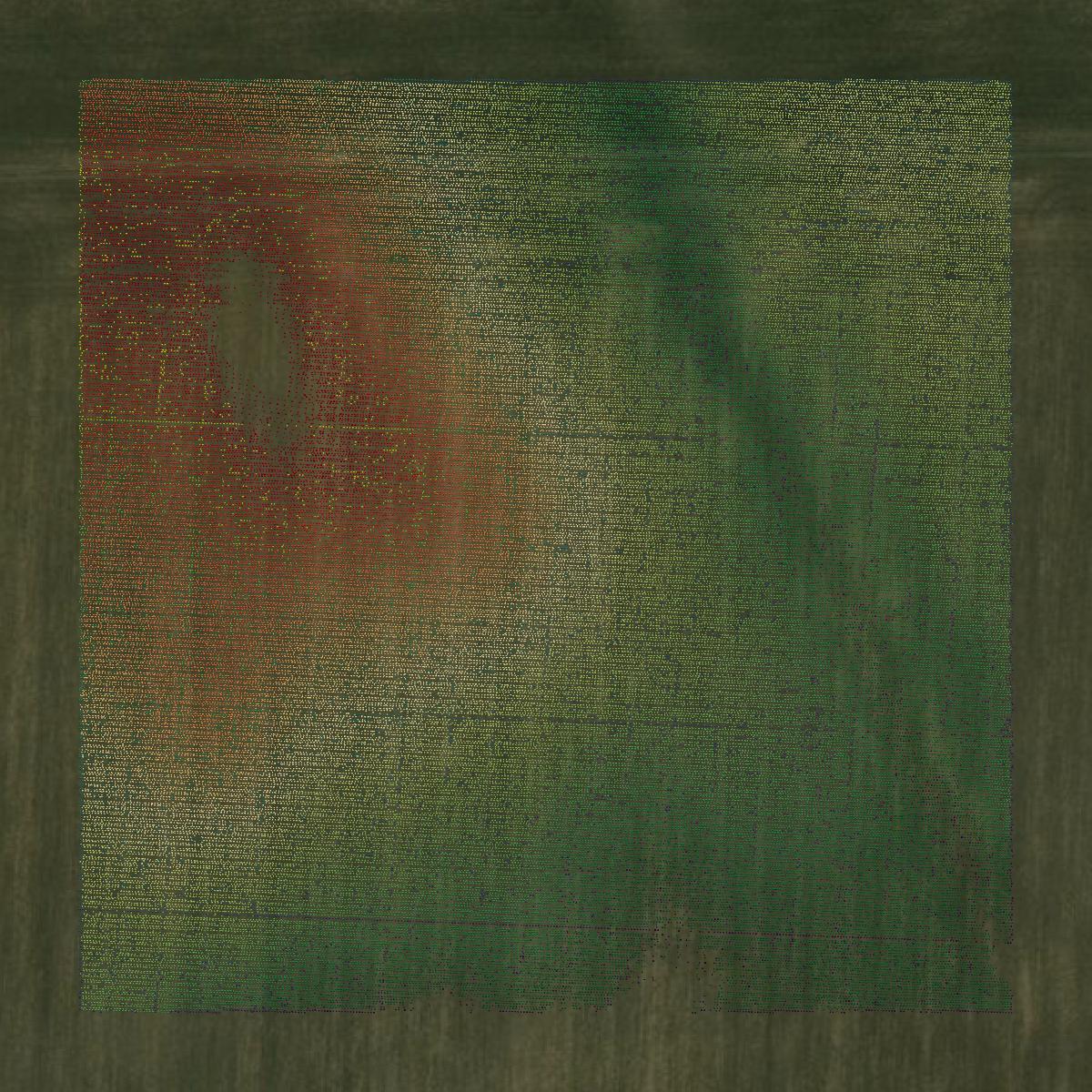 This image shows a LiDAR point cloud in Hancock County created using GIS data in Equator.