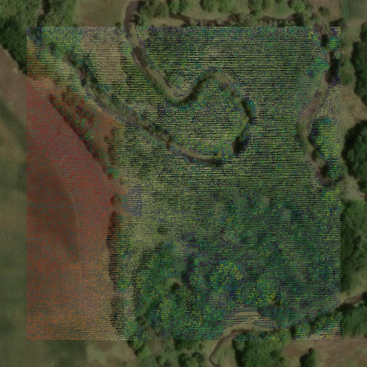 This image shows a LiDAR point cloud in Hardin County created using GIS data in Equator.