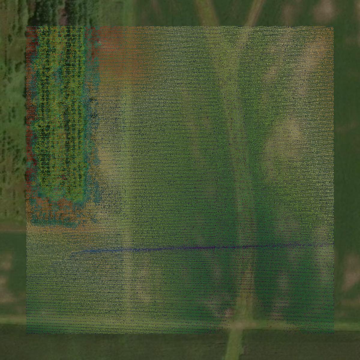This image shows a LiDAR point cloud in Howard County created using GIS data in Equator.