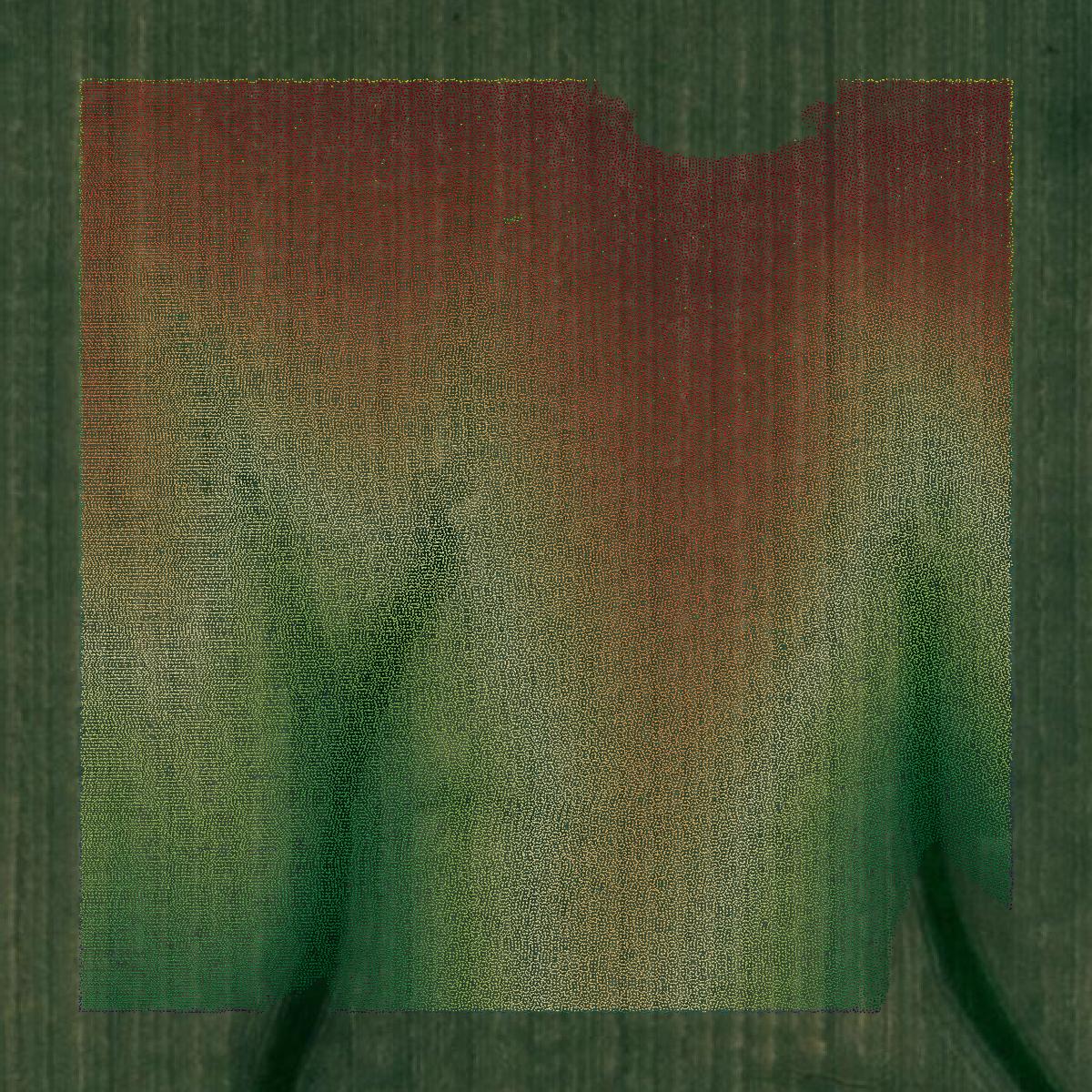 This image shows a LiDAR point cloud in Iowa County created using GIS data in Equator.