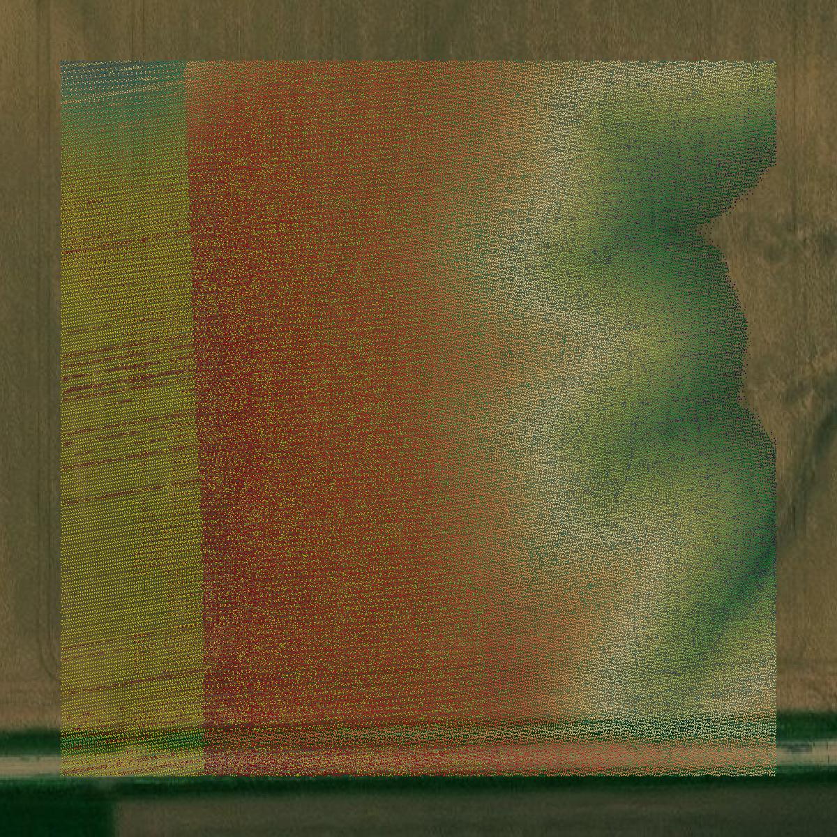 This image shows a LiDAR point cloud in Jasper County created using GIS data in Equator.