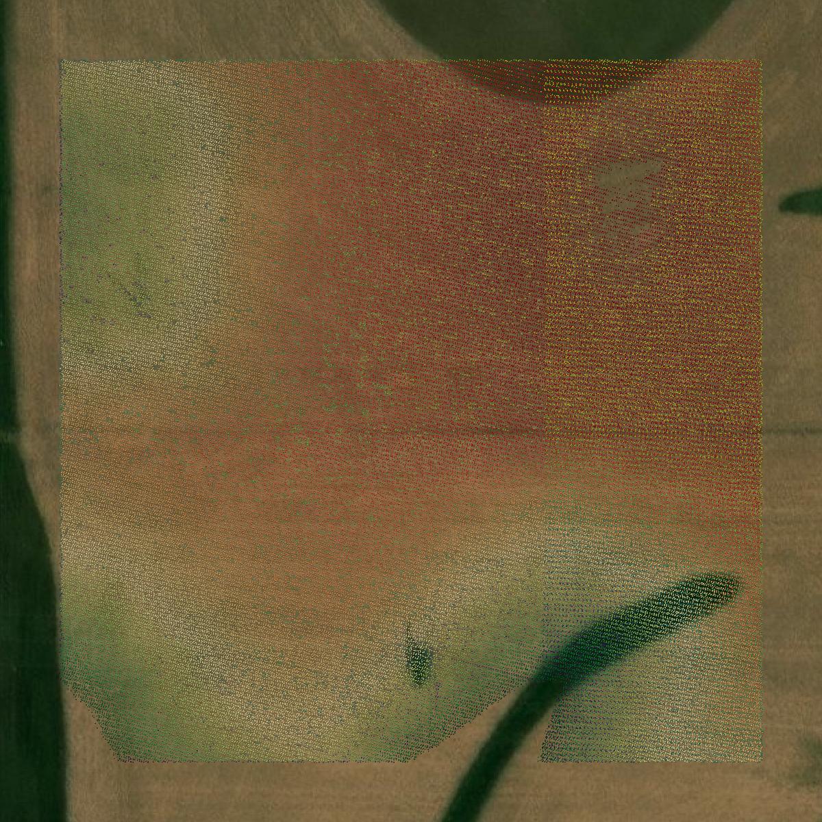 This image shows a LiDAR point cloud in Jasper County created using GIS data in Equator.