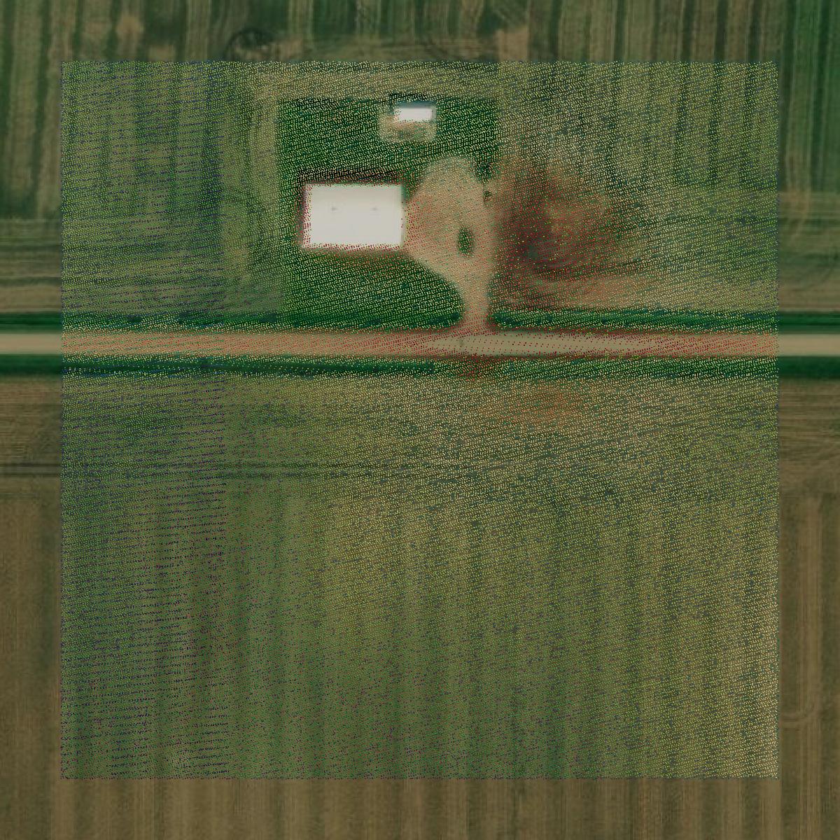 This image shows a LiDAR point cloud in Kossuth County created using GIS data in Equator.
