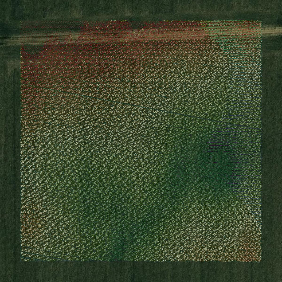 This image shows a LiDAR point cloud in Kossuth County created using GIS data in Equator.