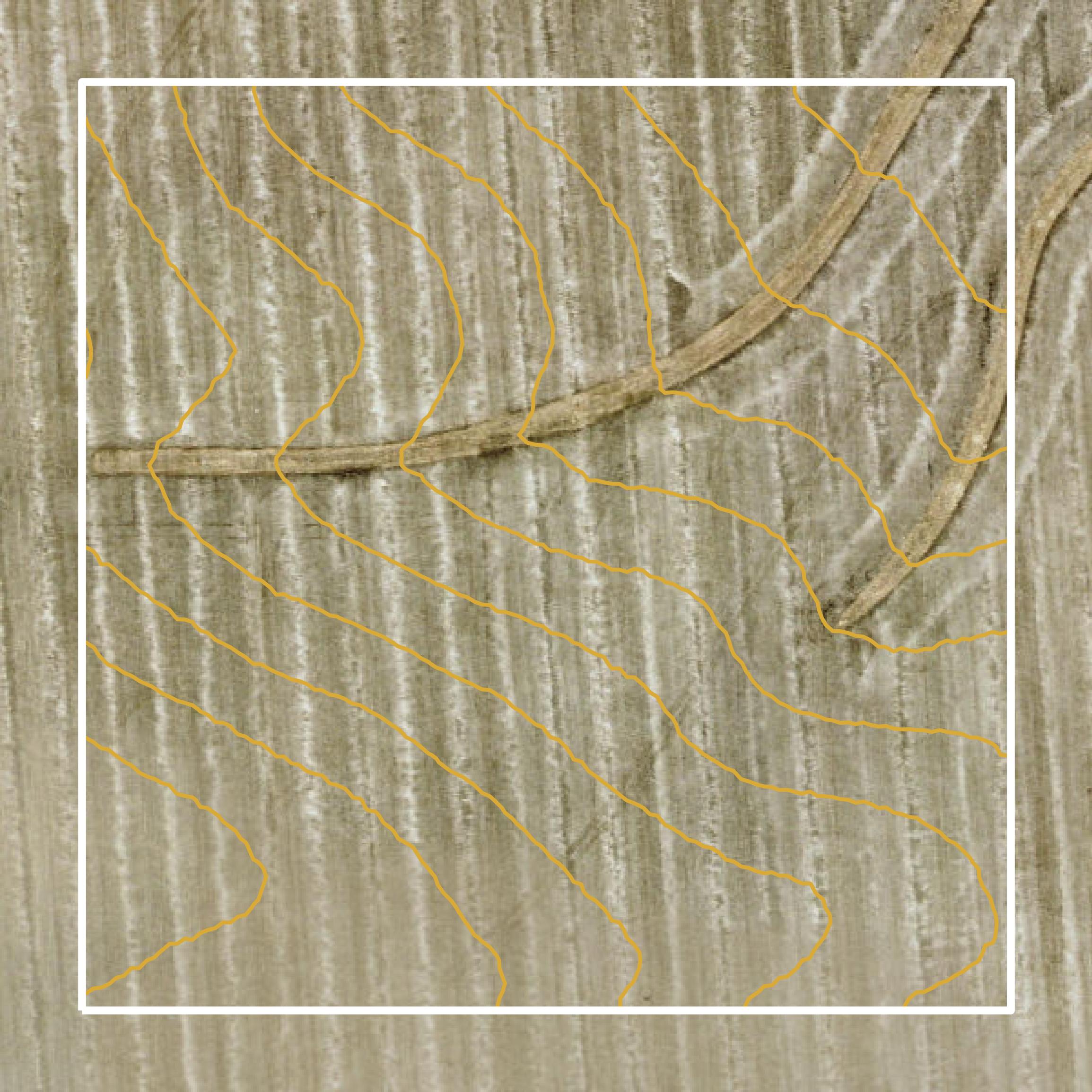 This image shows a contour map in Linn County created using GIS data in Equator.
