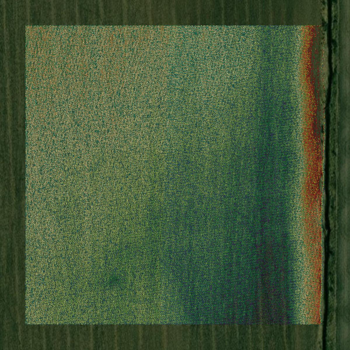 This image shows a LiDAR point cloud in Louisa County created using GIS data in Equator.