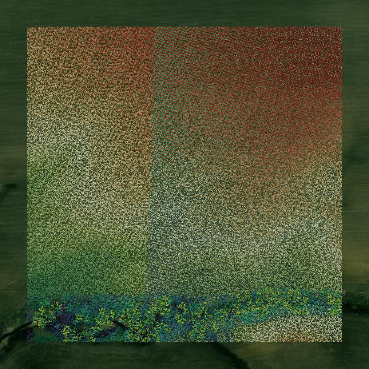 This image shows a LiDAR point cloud in Louisa County created using GIS data in Equator.