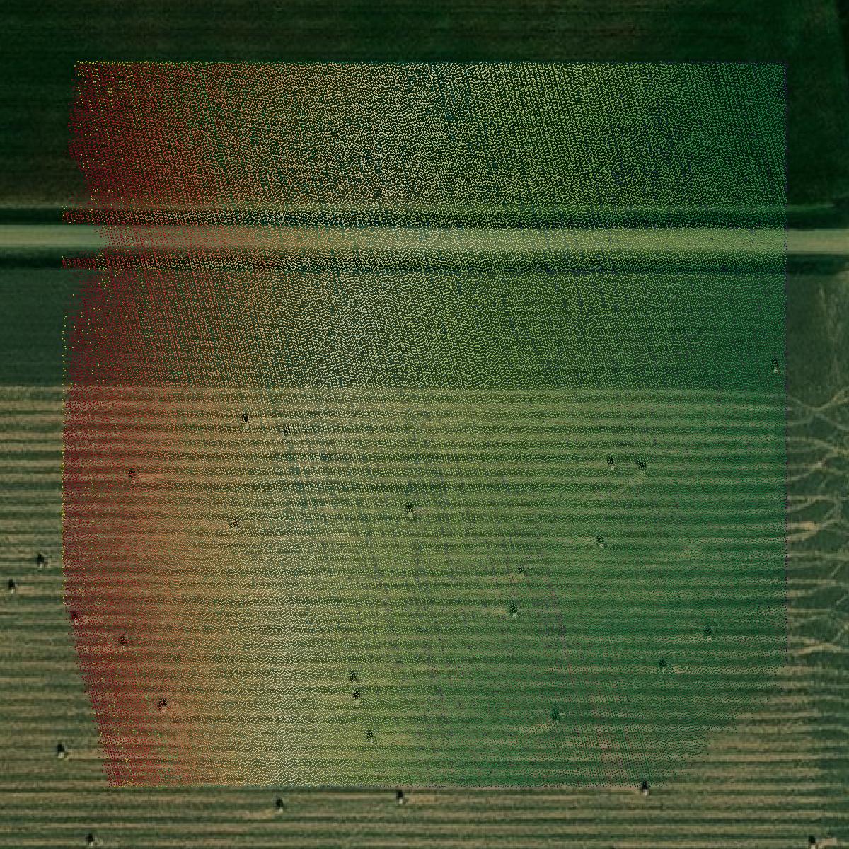 This image shows a LiDAR point cloud in Lyon County created using GIS data in Equator.