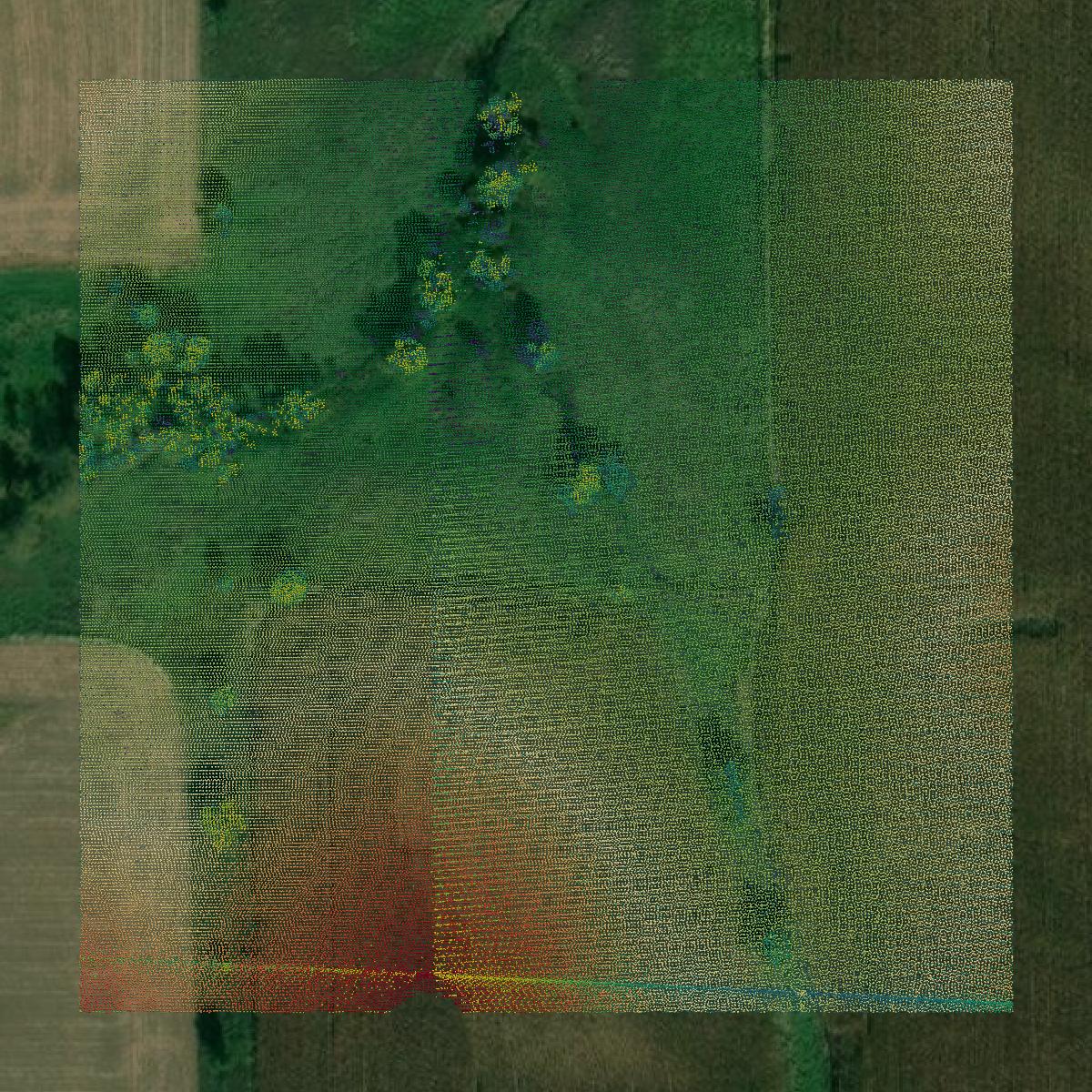 This image shows a LiDAR point cloud in Madison County created using GIS data in Equator.