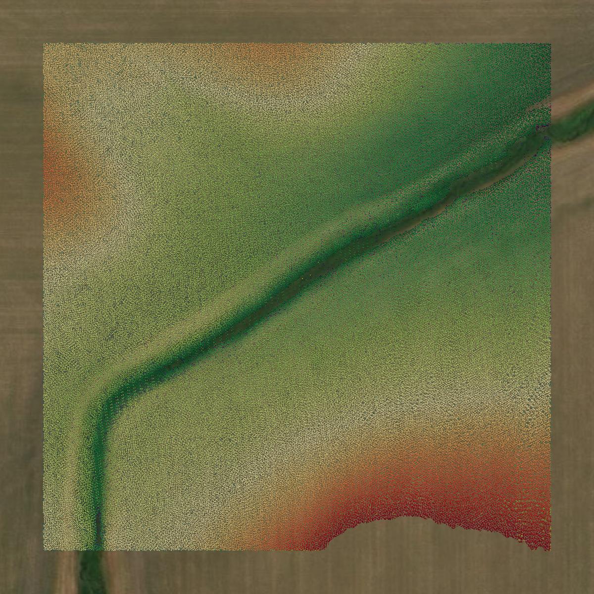 This image shows a LiDAR point cloud in Mahaska County created using GIS data in Equator.