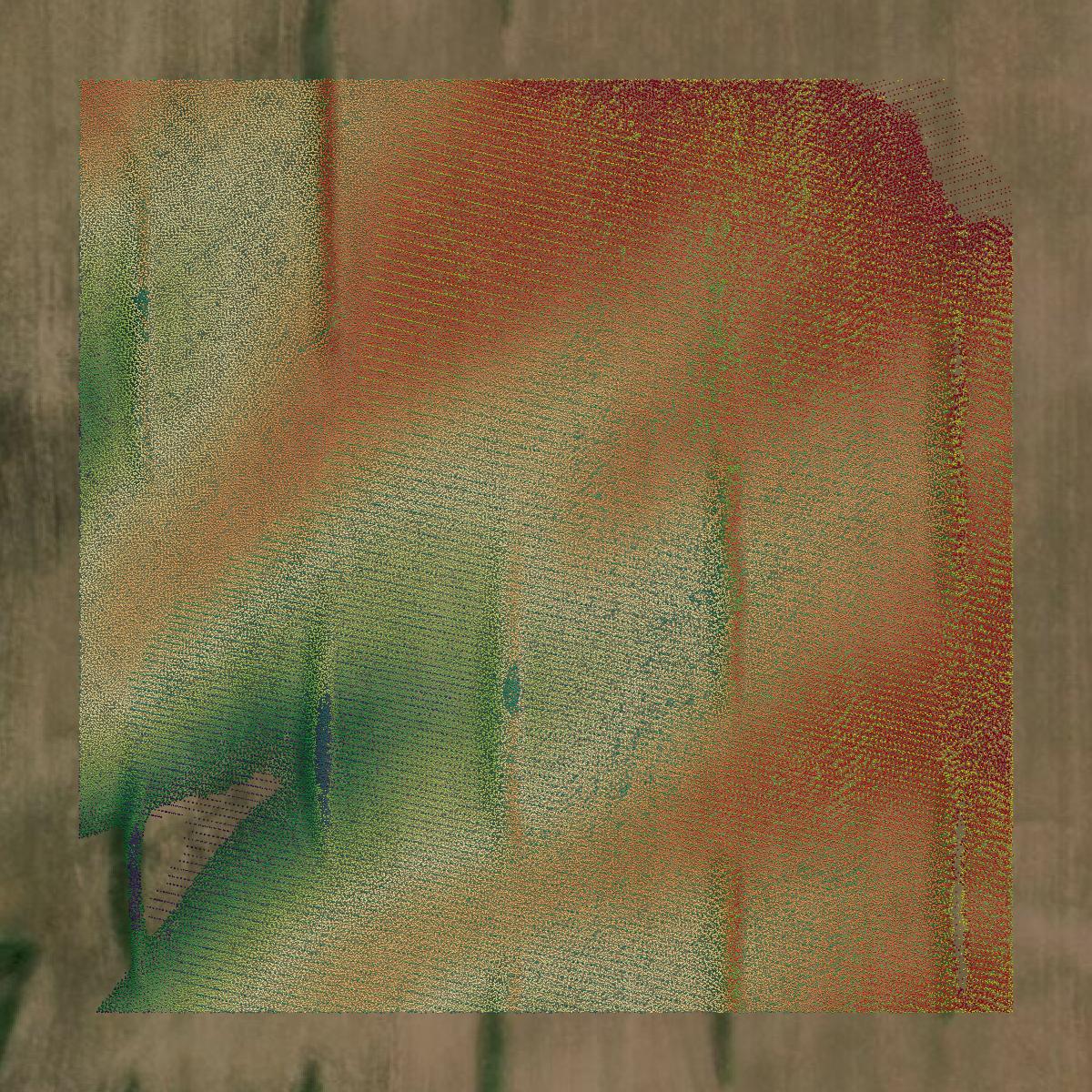 This image shows a LiDAR point cloud in Marion County created using GIS data in Equator.