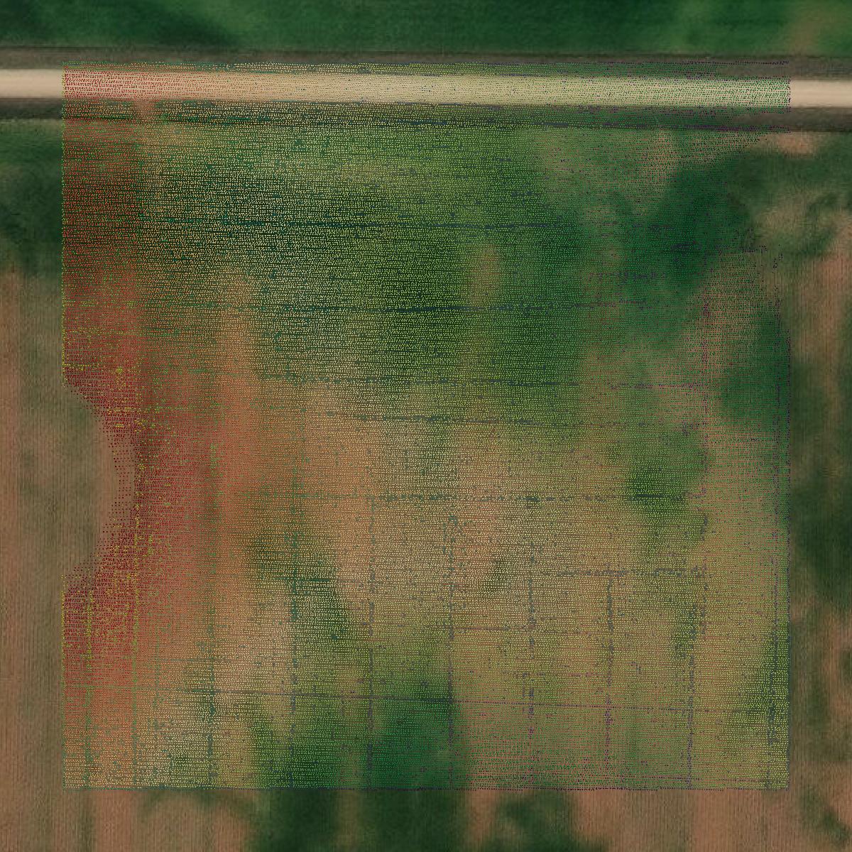 This image shows a LiDAR point cloud in Mitchell County created using GIS data in Equator.