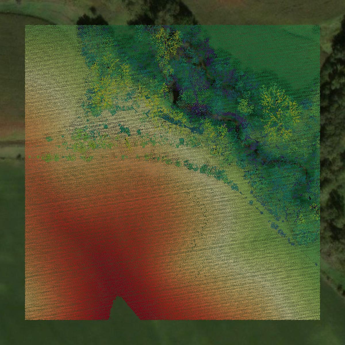 This image shows a LiDAR point cloud in Monona County created using GIS data in Equator.