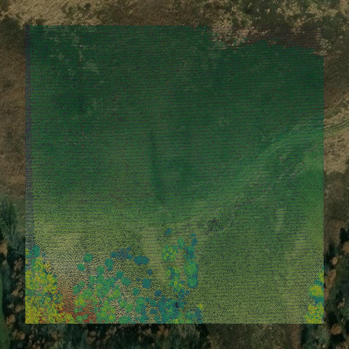 This image shows a LiDAR point cloud in Monroe County created using GIS data in Equator.