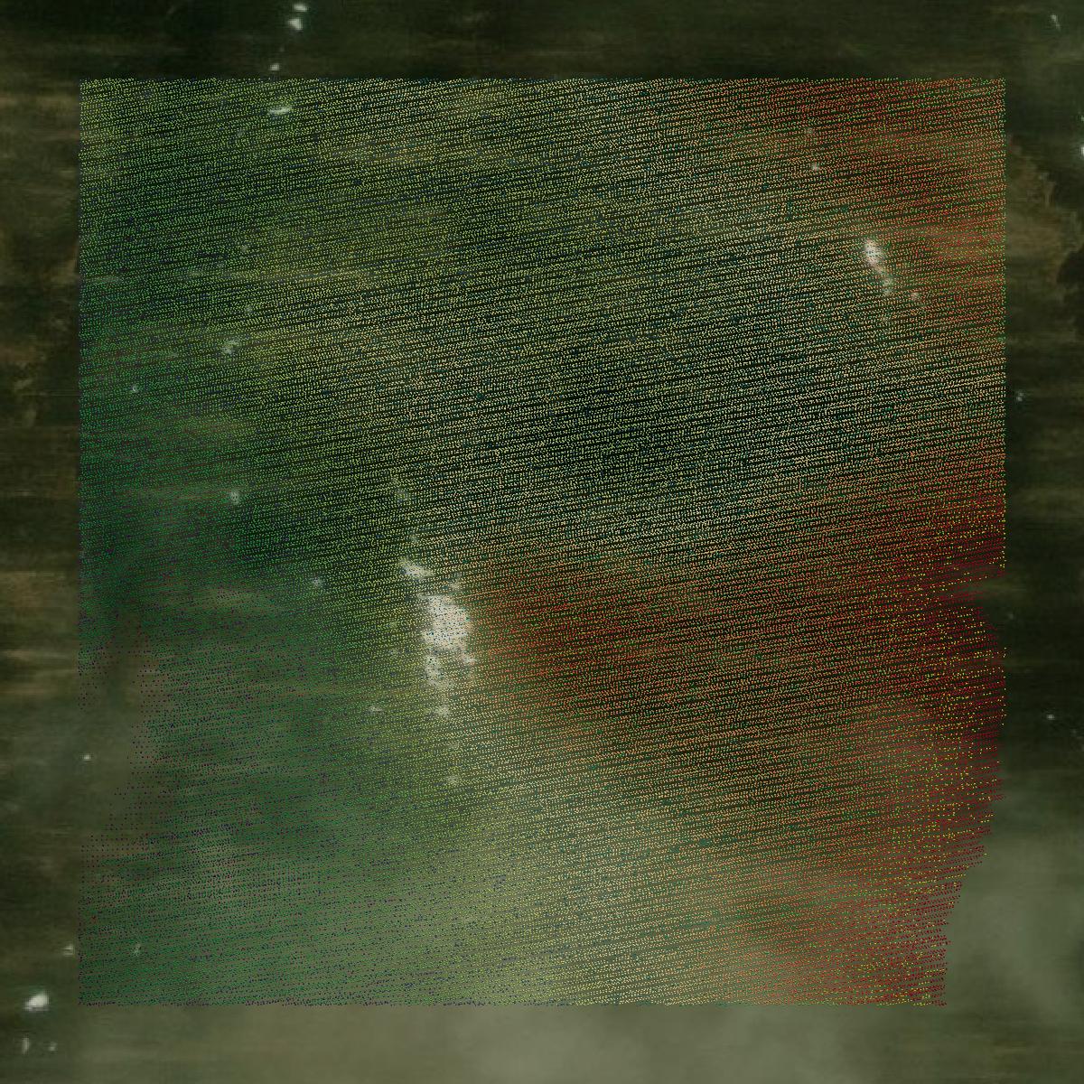 This image shows a LiDAR point cloud in Osceola County created using GIS data in Equator.
