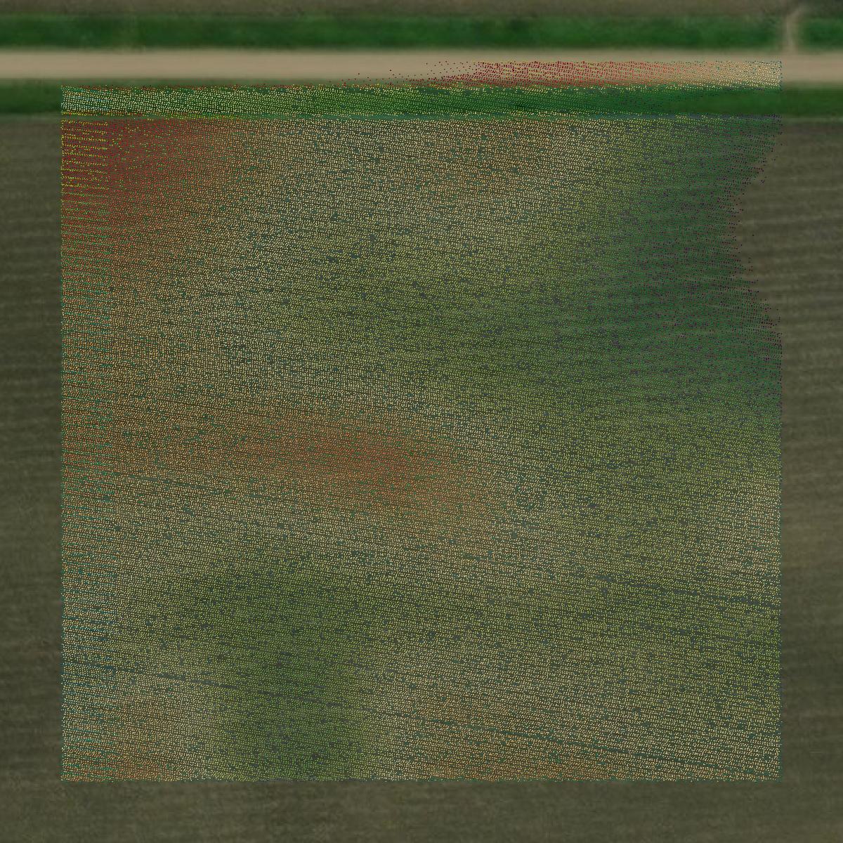 This image shows a LiDAR point cloud in Palo Alto County created using GIS data in Equator.