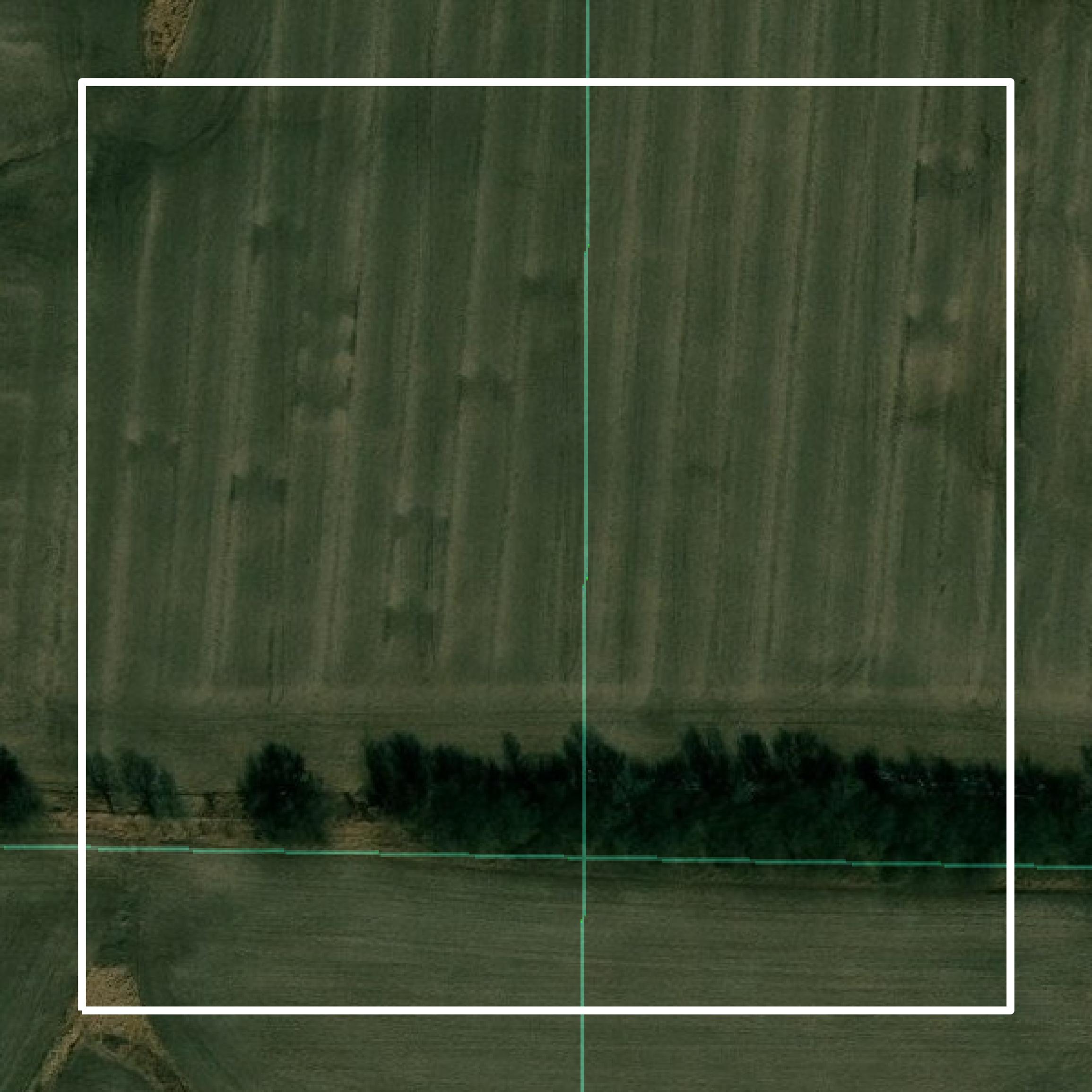 This image shows parcel and building data in Ringgold County created using GIS data in Equator.