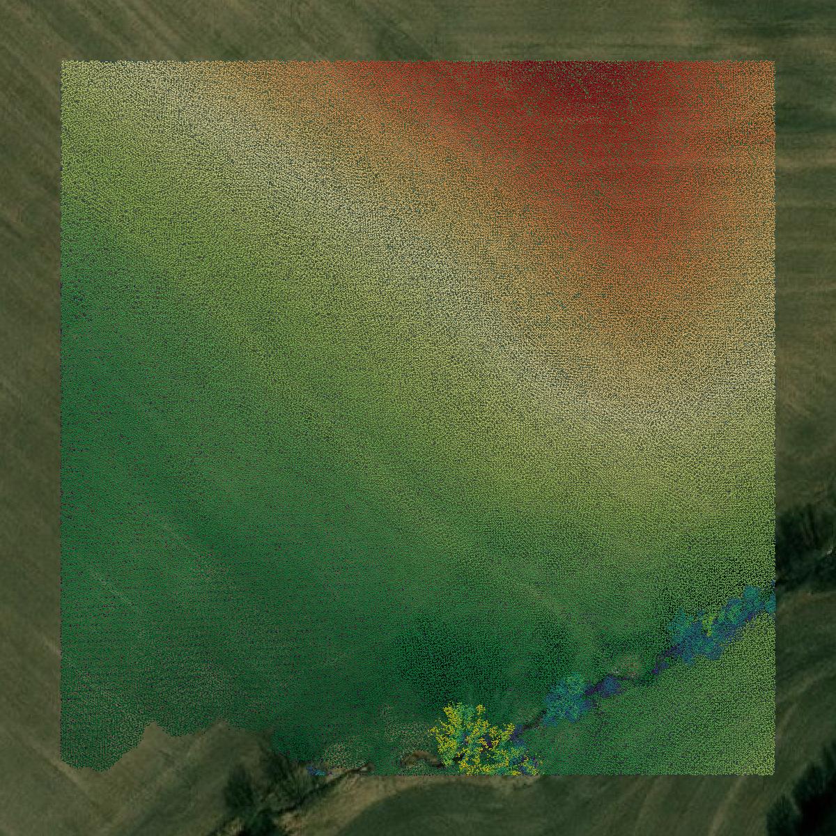 This image shows a LiDAR point cloud in Ringgold County created using GIS data in Equator.