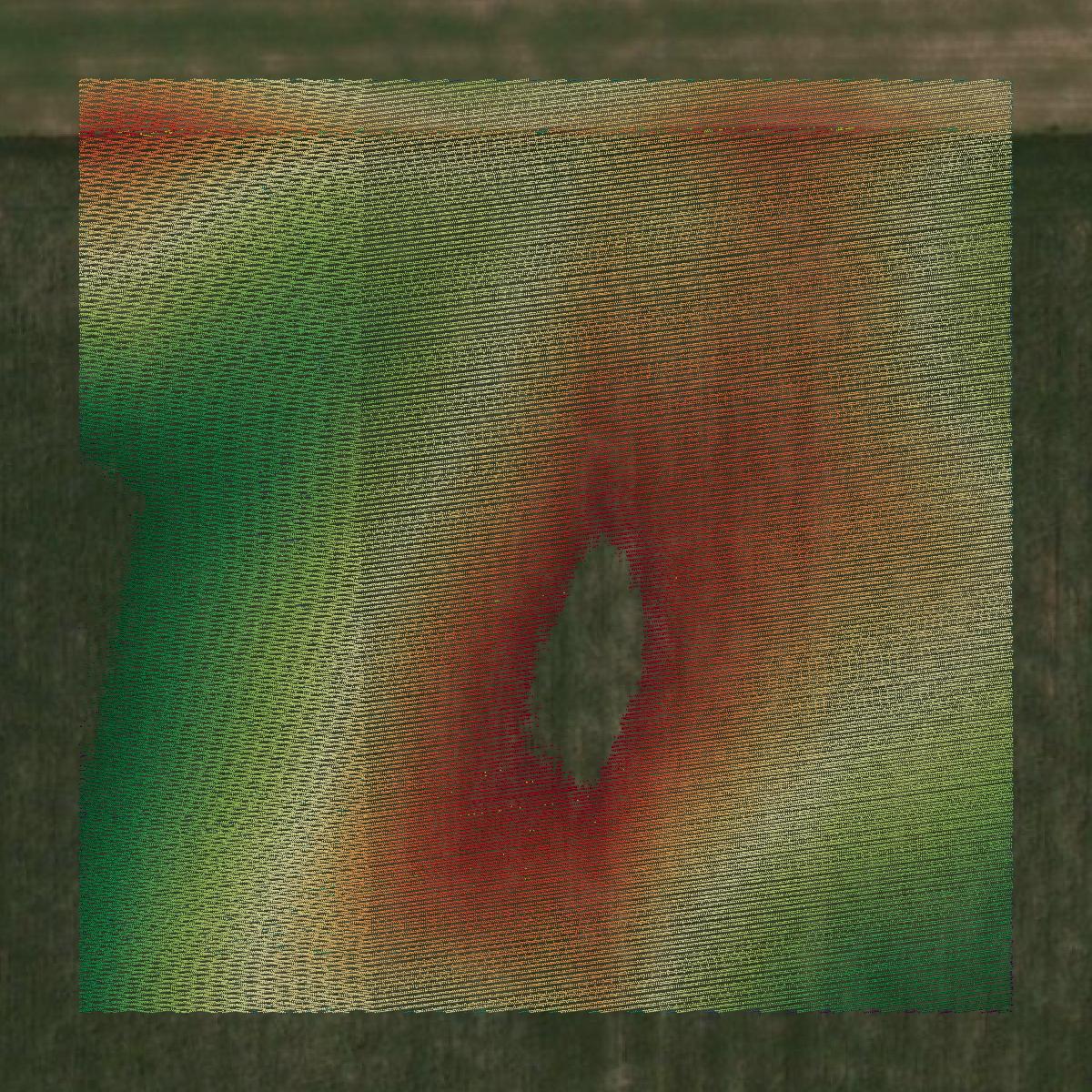 This image shows a LiDAR point cloud in Shelby County created using GIS data in Equator.