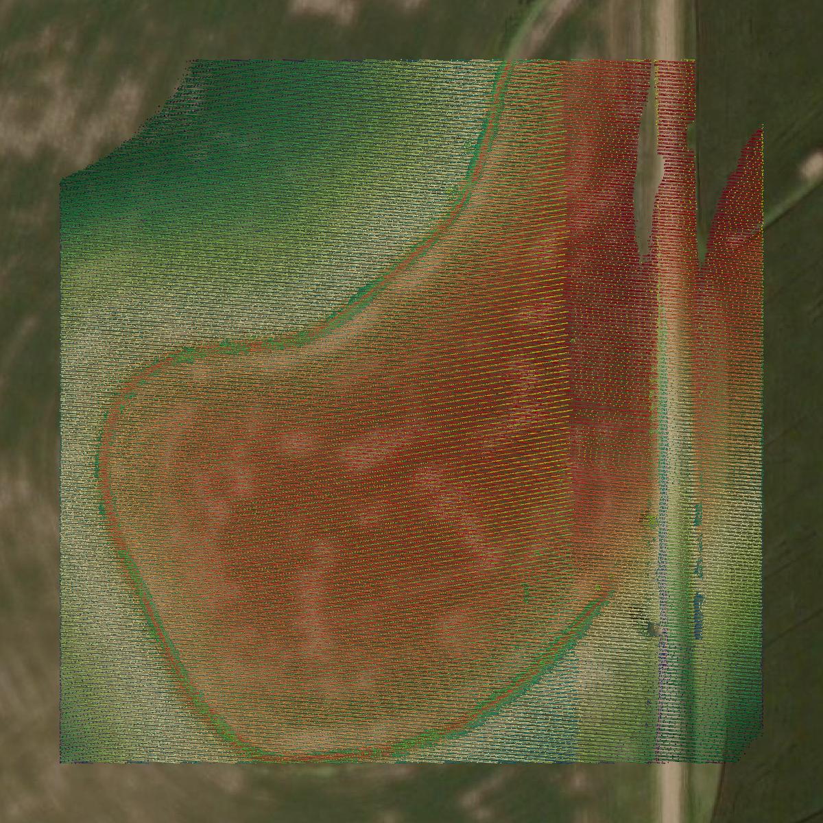 This image shows a LiDAR point cloud in Shelby County created using GIS data in Equator.