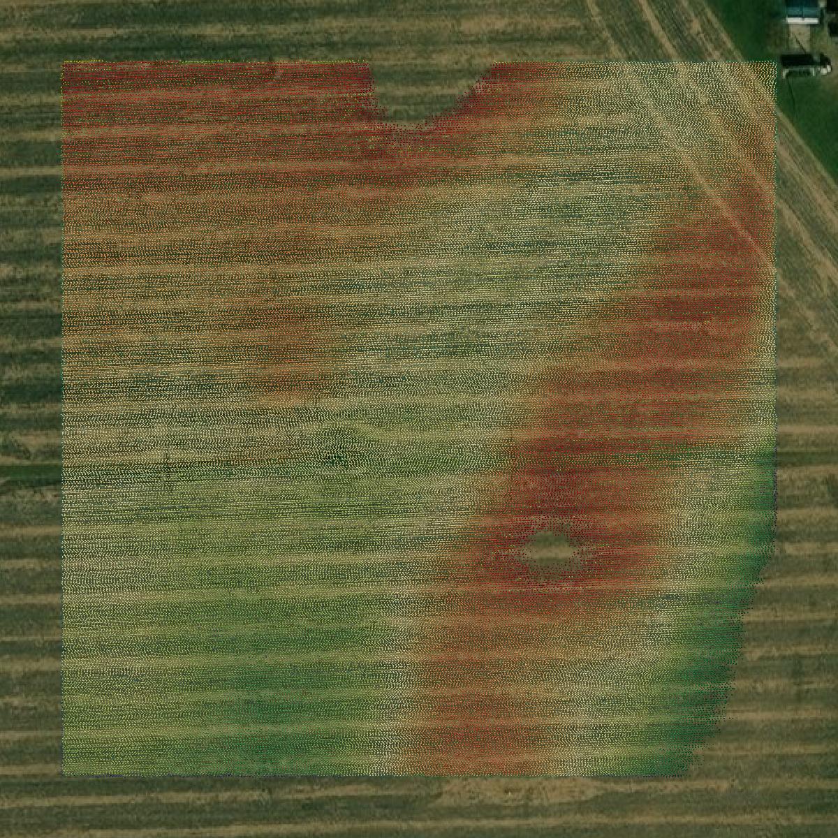 This image shows a LiDAR point cloud in Sioux County created using GIS data in Equator.