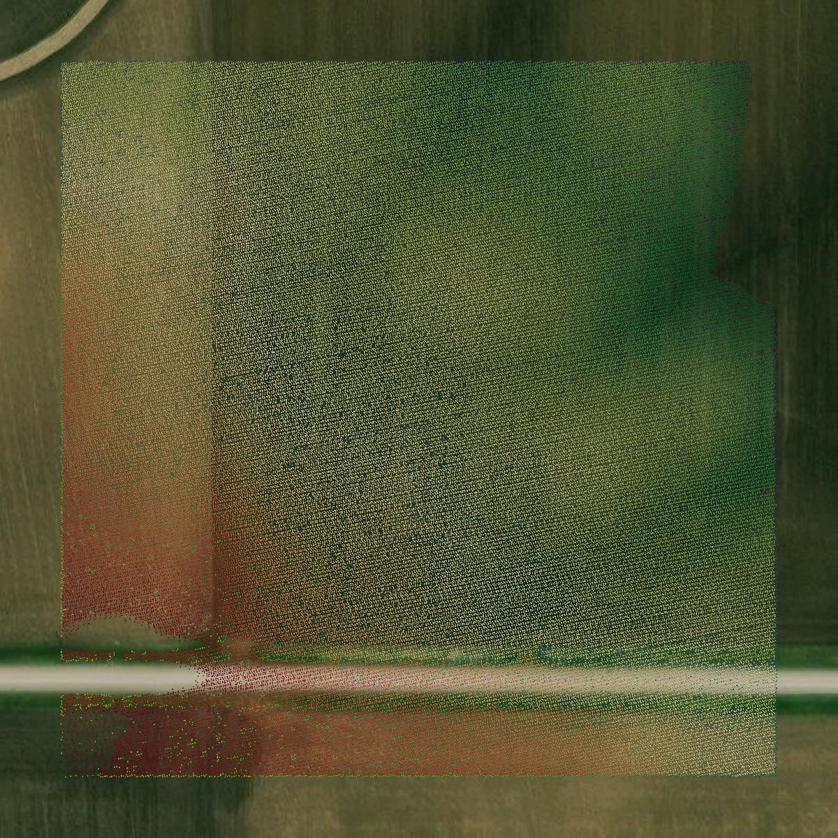 This image shows a LiDAR point cloud in Story County created using GIS data in Equator.