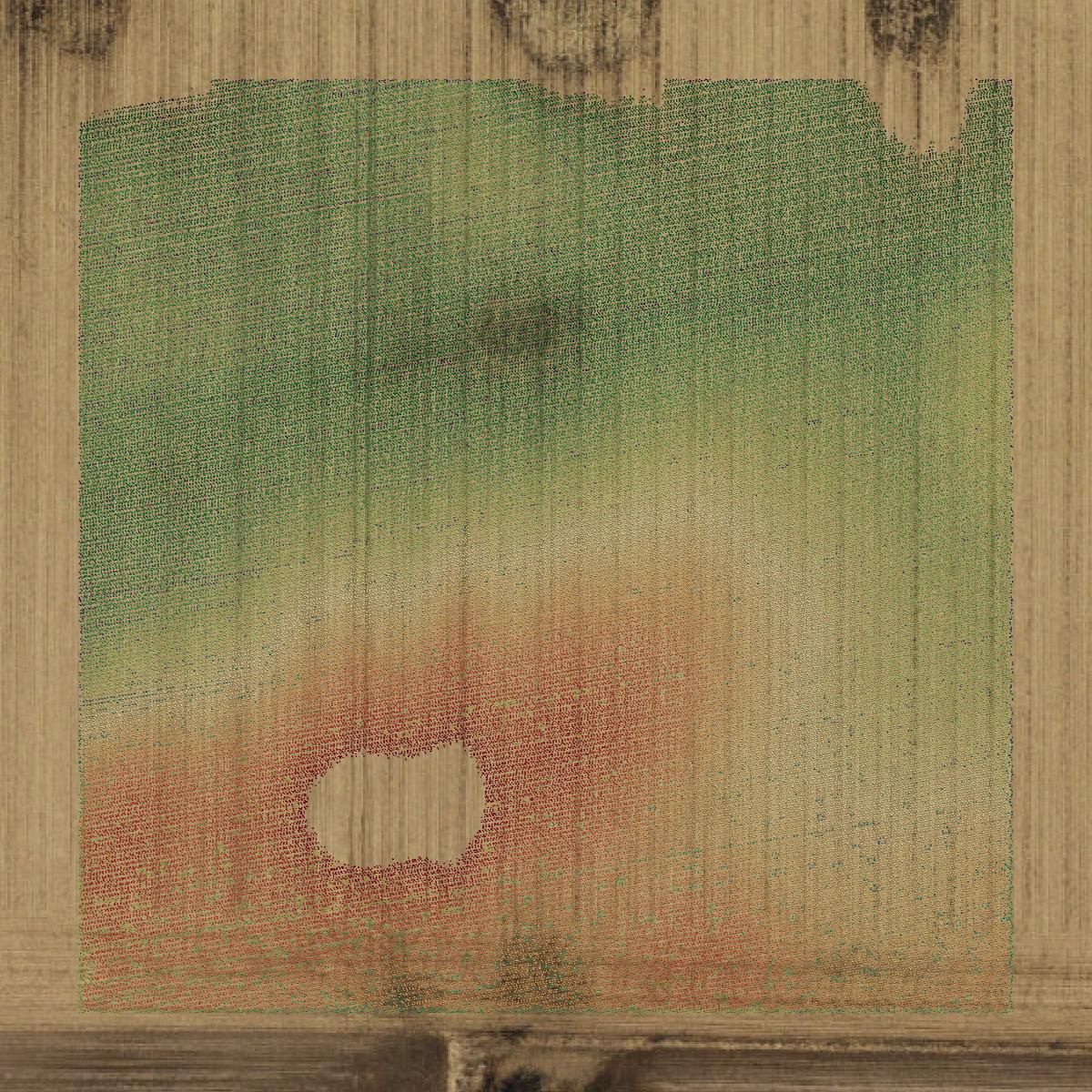 This image shows a LiDAR point cloud in Story County created using GIS data in Equator.