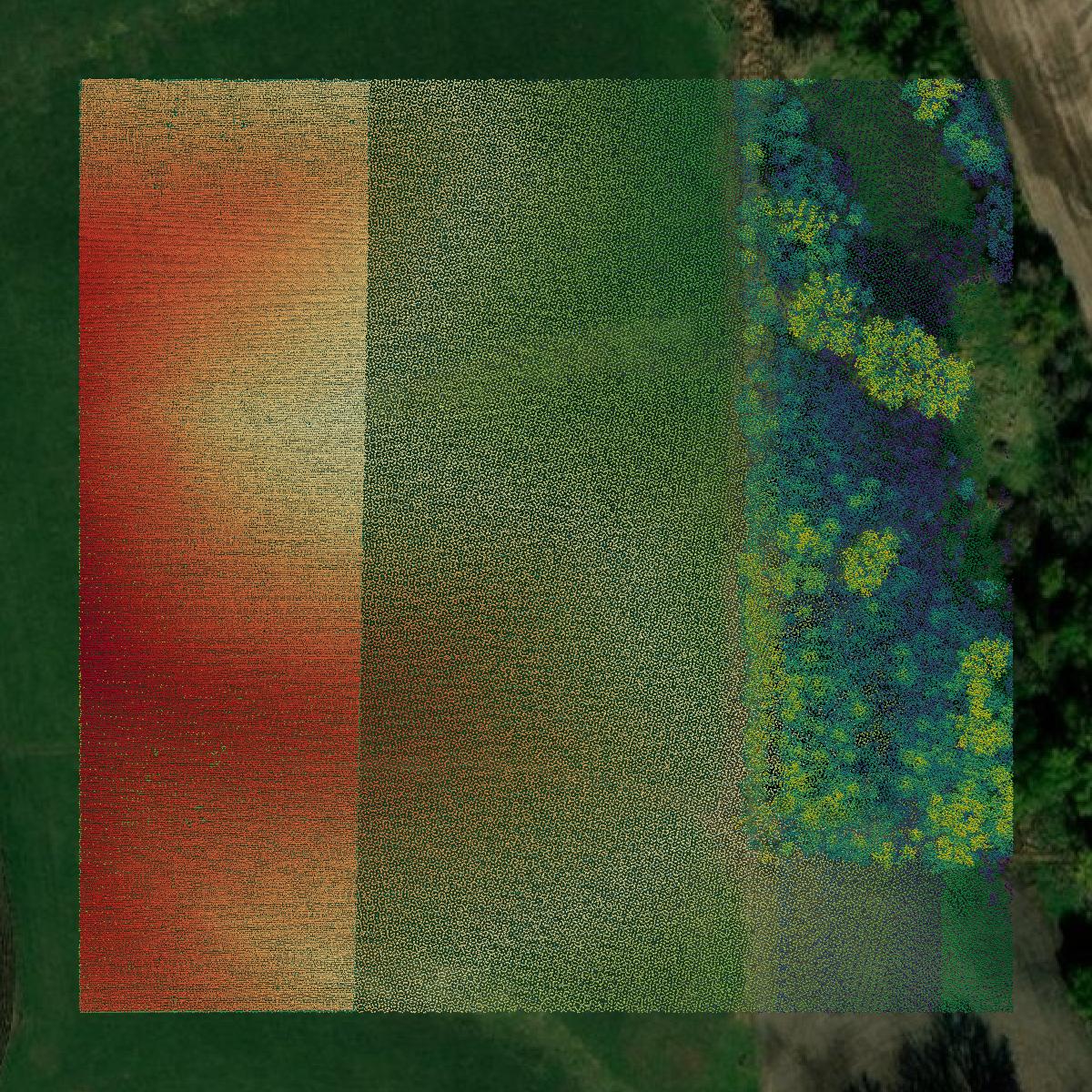 This image shows a LiDAR point cloud in Taylor County created using GIS data in Equator.