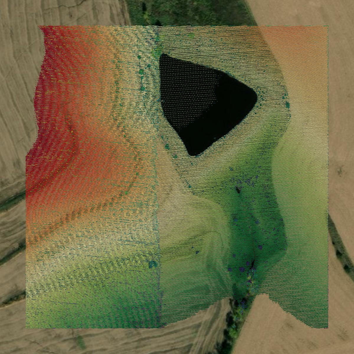 This image shows a LiDAR point cloud in Taylor County created using GIS data in Equator.