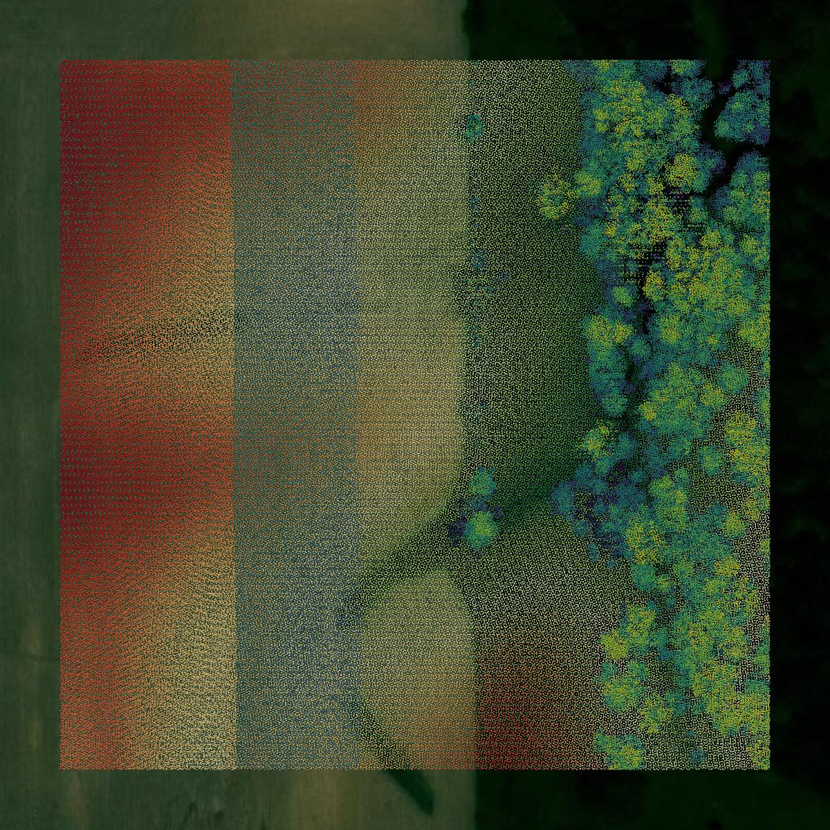 This image shows a LiDAR point cloud in Van Buren County created using GIS data in Equator.