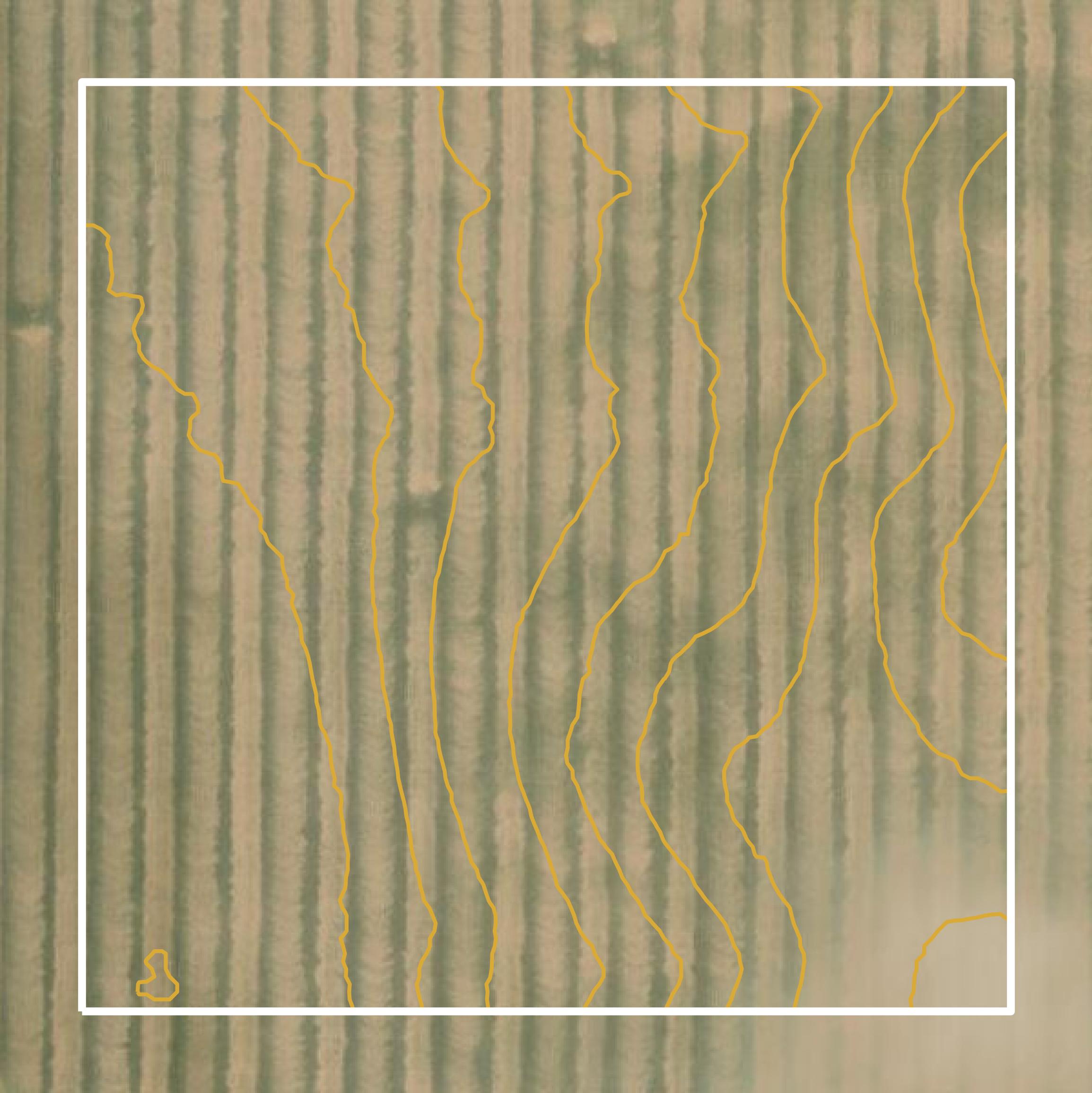 This image shows a contour map in Webster County created using GIS data in Equator.