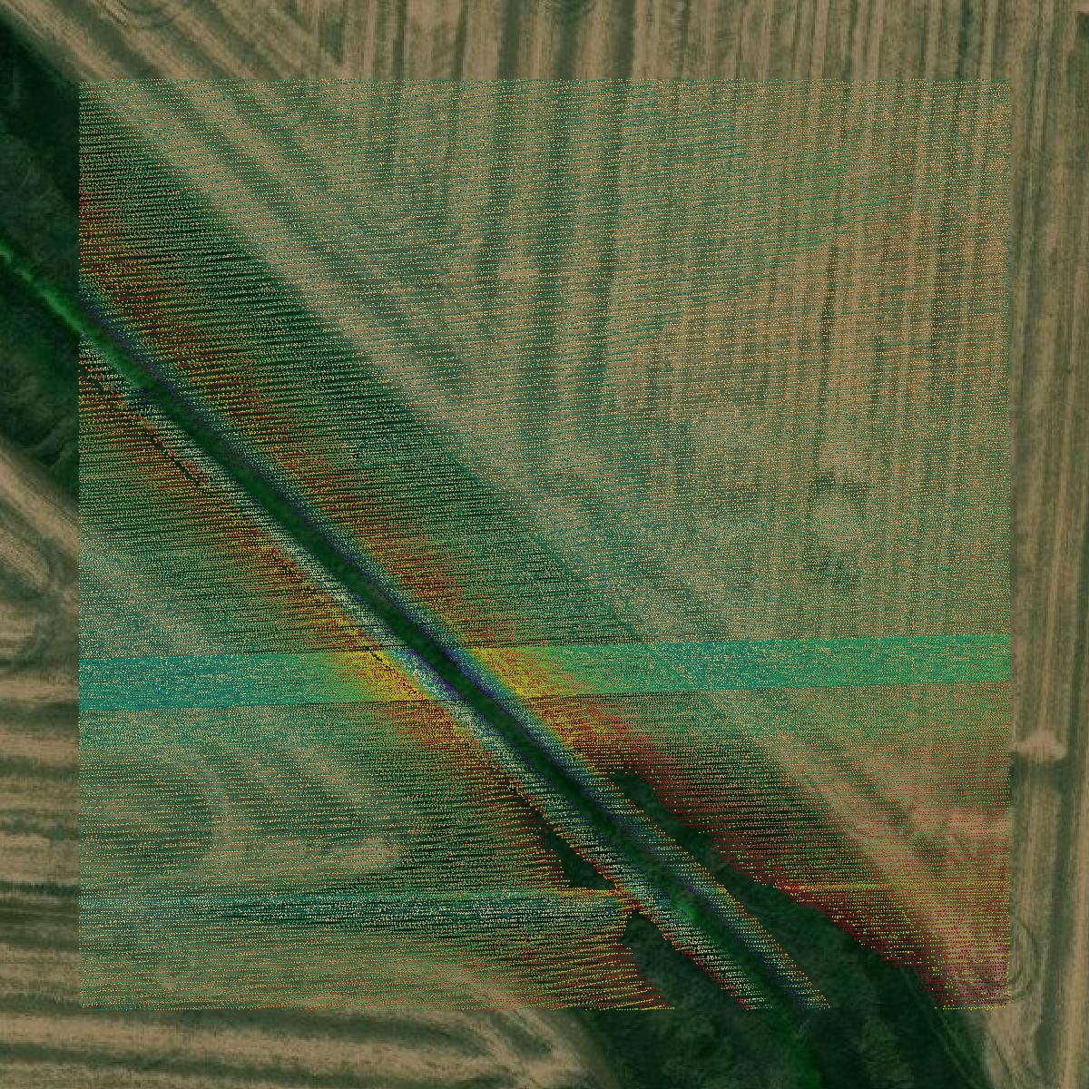 This image shows a LiDAR point cloud in Webster County created using GIS data in Equator.