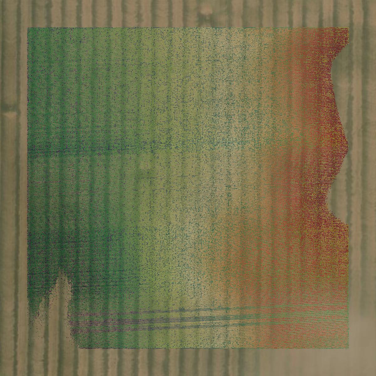 This image shows a LiDAR point cloud in Webster County created using GIS data in Equator.