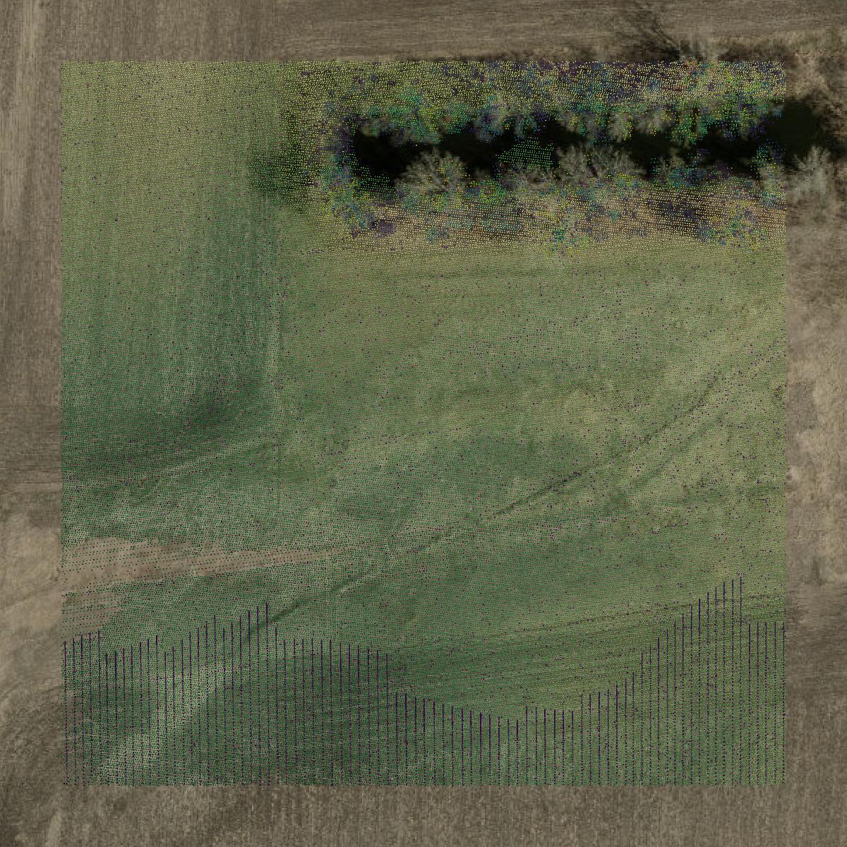 This image shows a LiDAR point cloud in Worth County created using GIS data in Equator.